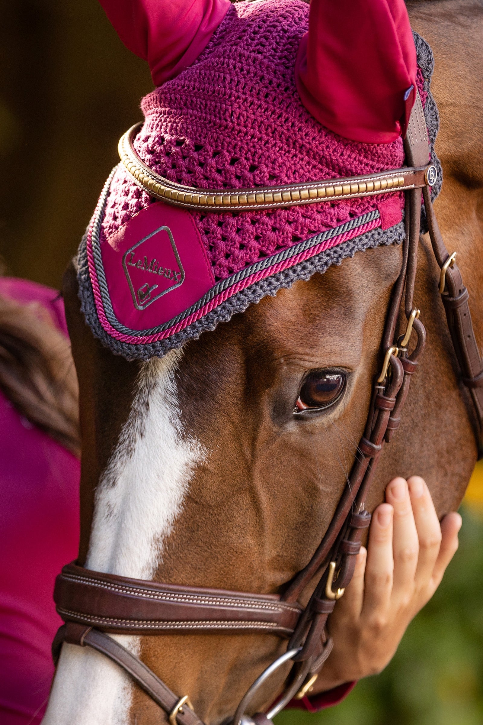 LeMieux Classic Fly Hood Antifly Protection for Horses