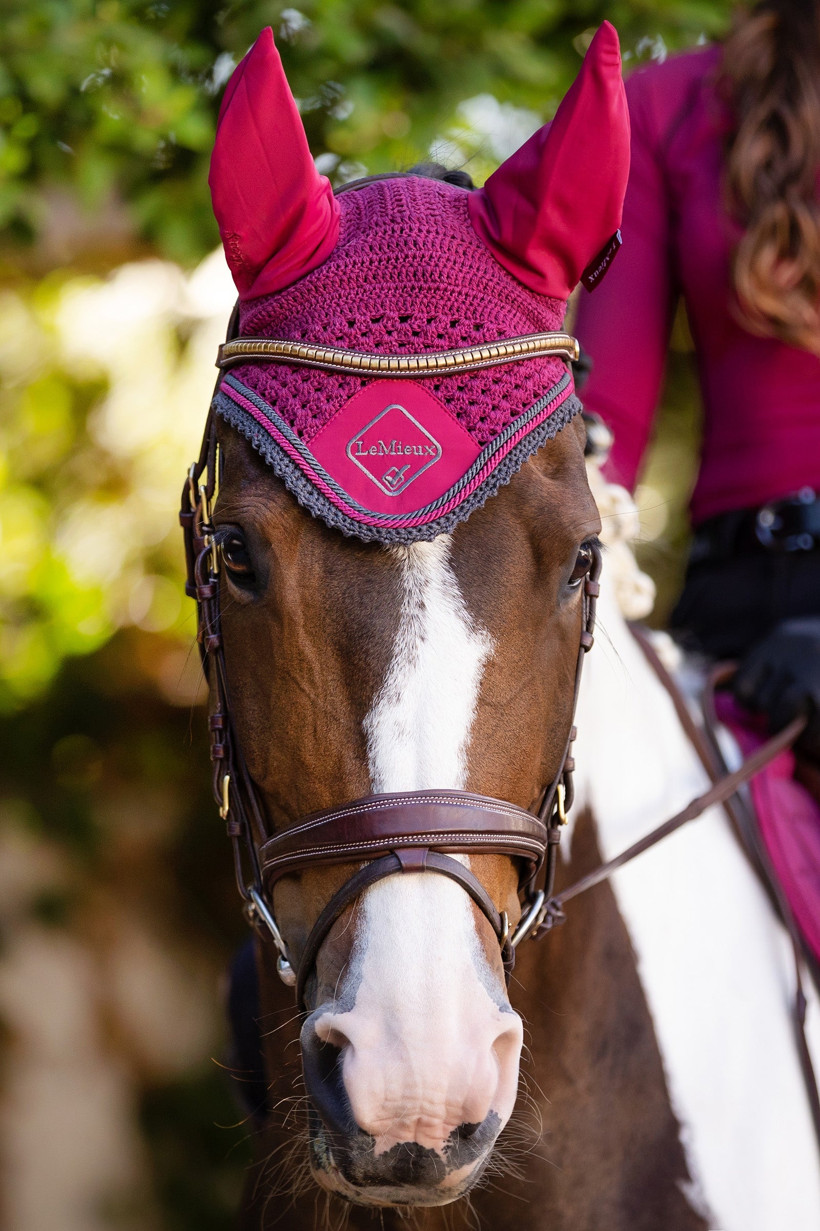 LeMieux Classic Fly Hood Antifly Protection for Horses