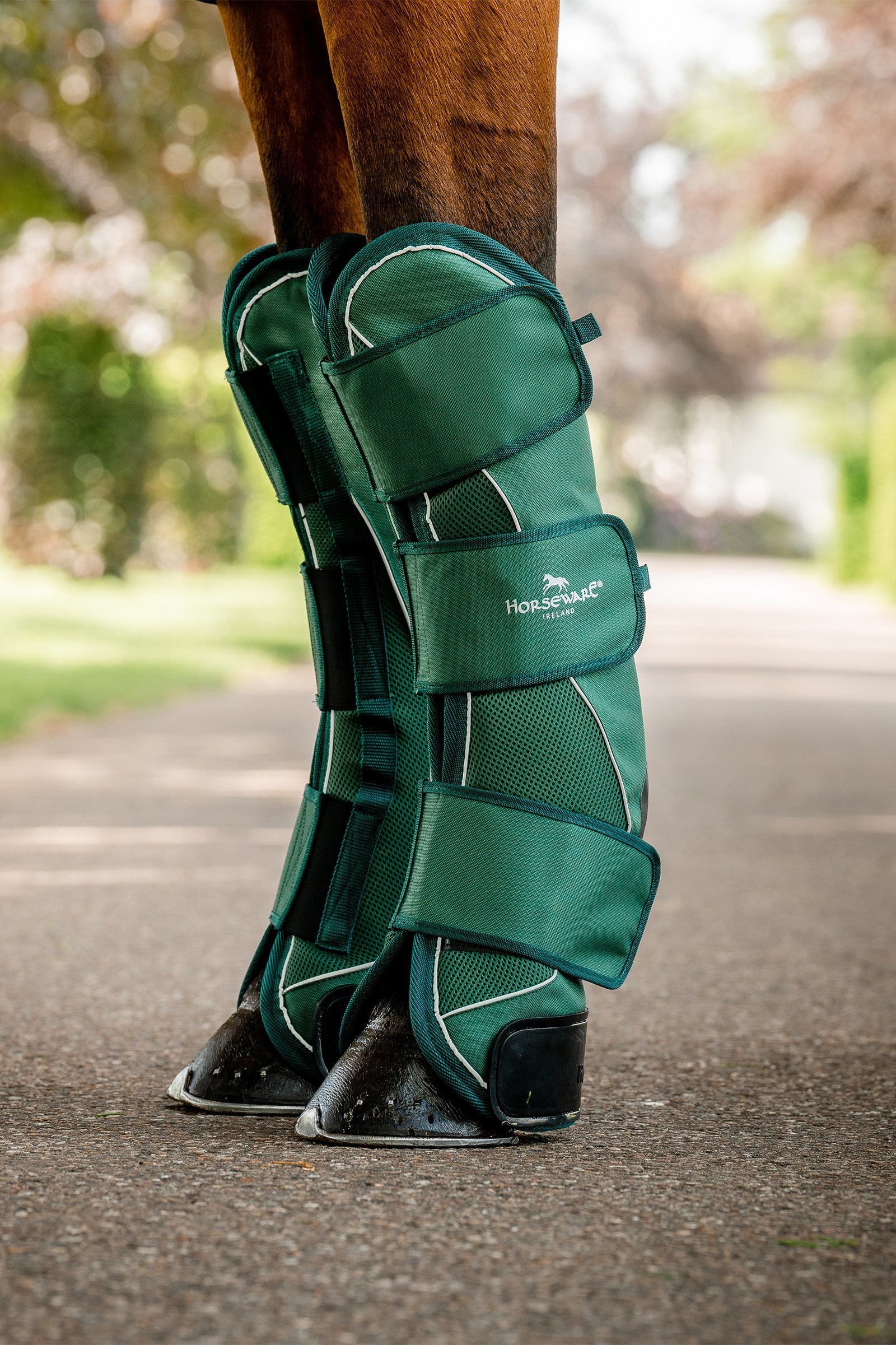 Horseware Signature Transport Peesbeschermers Leg Protection & Hoof Protection for Horses