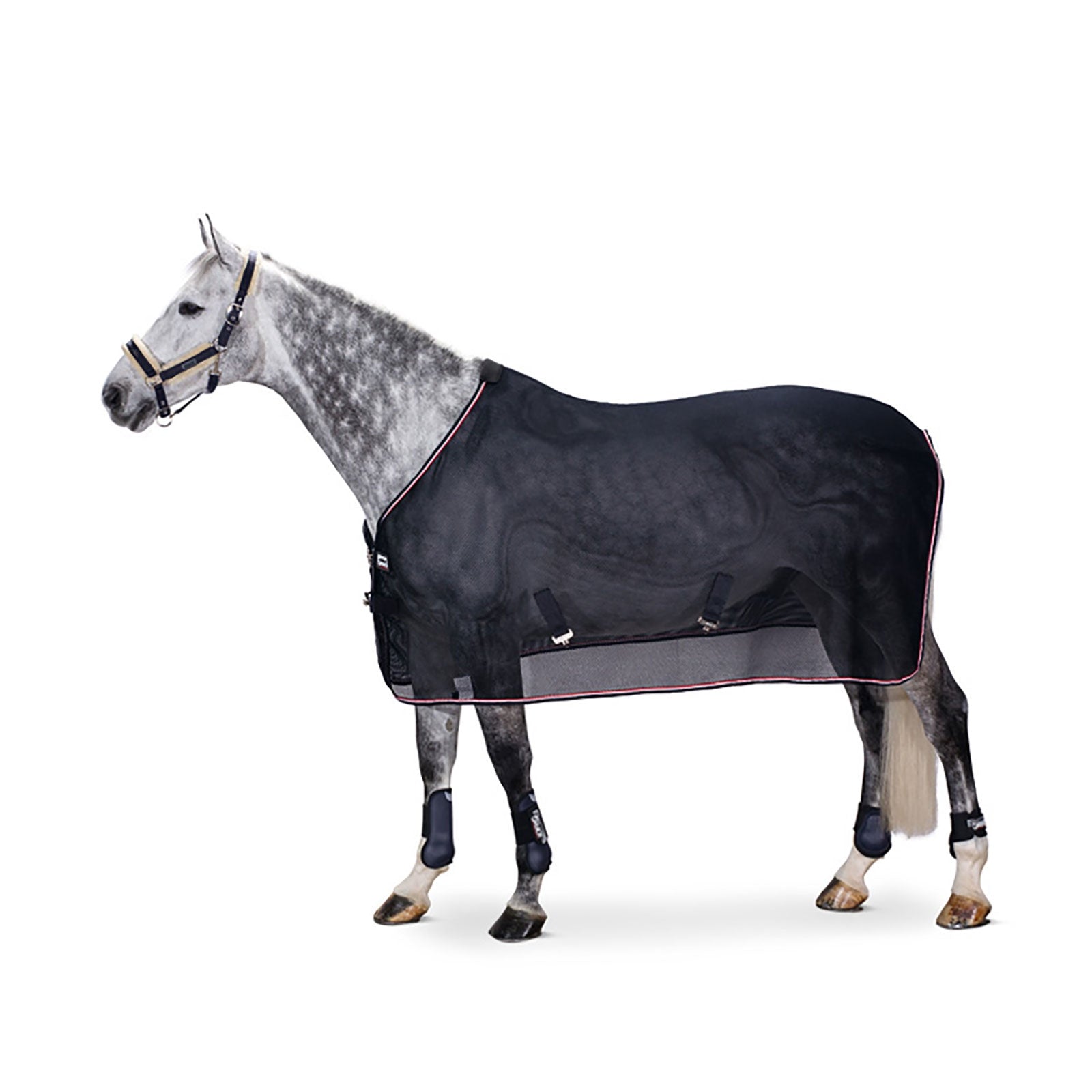 Eskadron MESH DURA Vliegendeken Paardendekens