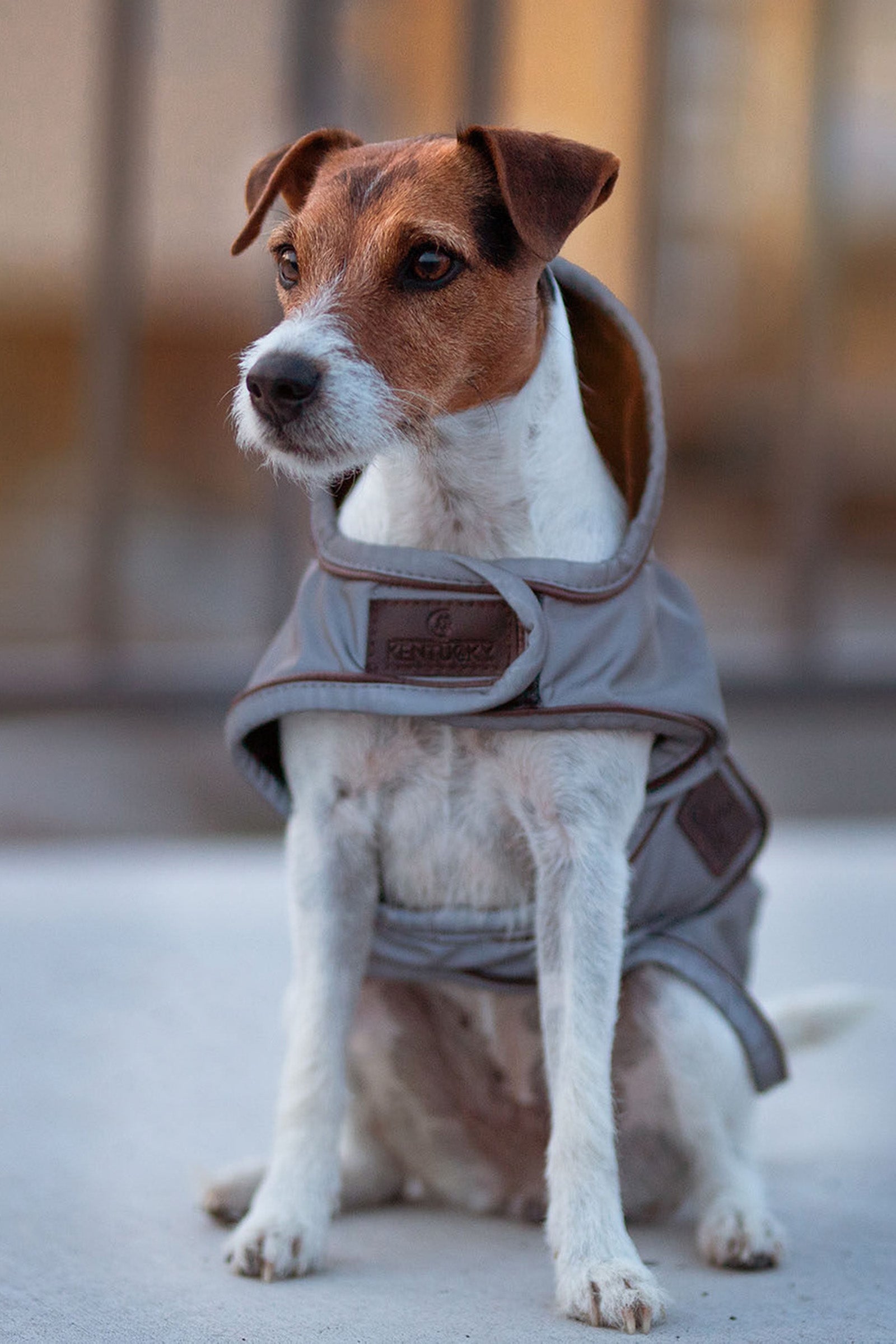 Kentucky Dogwear Dog Coat Reflective & Water Repellent Hond