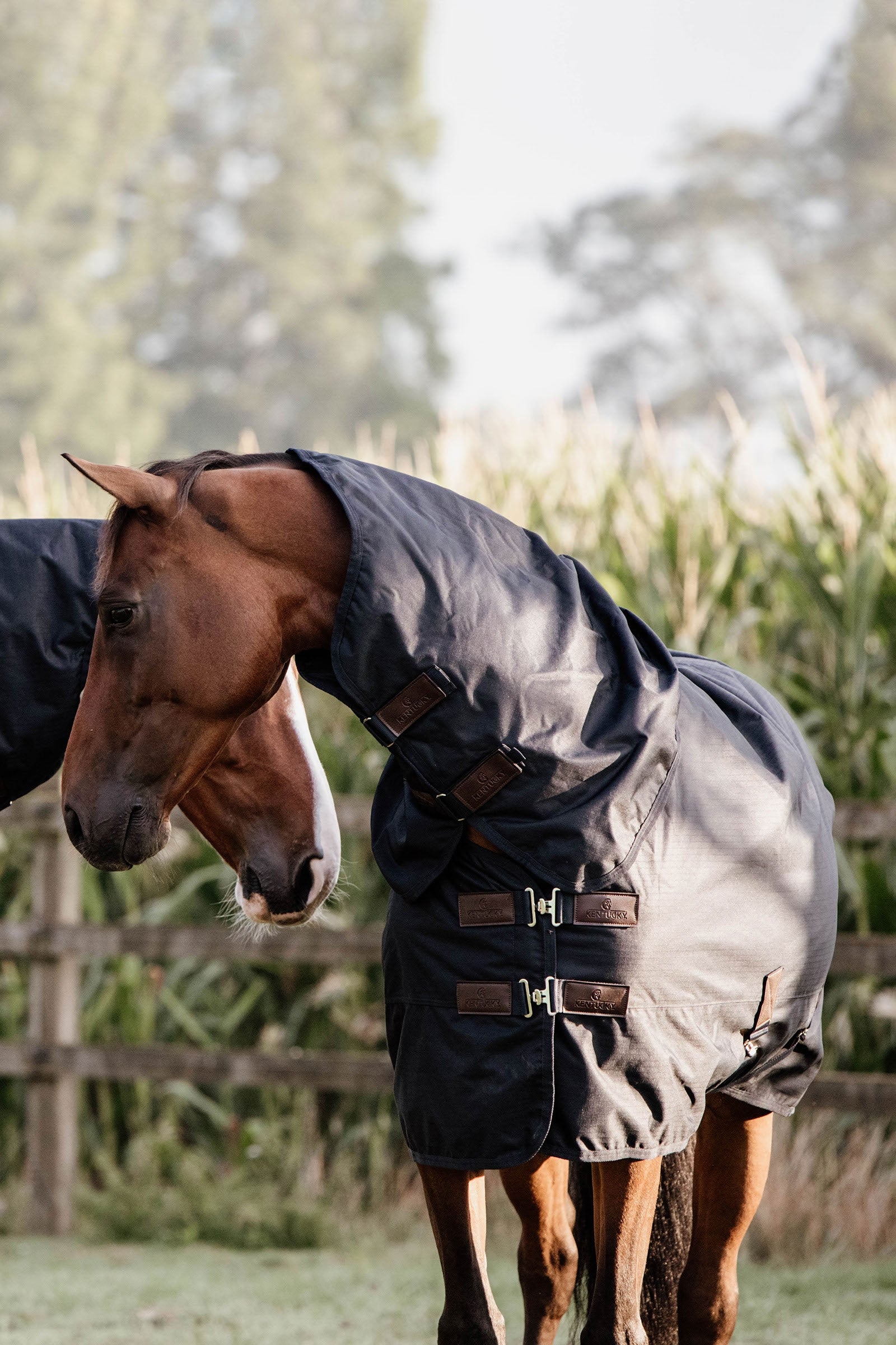 Kentucky Horsewear Turnout Rug All Weather Waterproof Classic, 0g Paardendekens