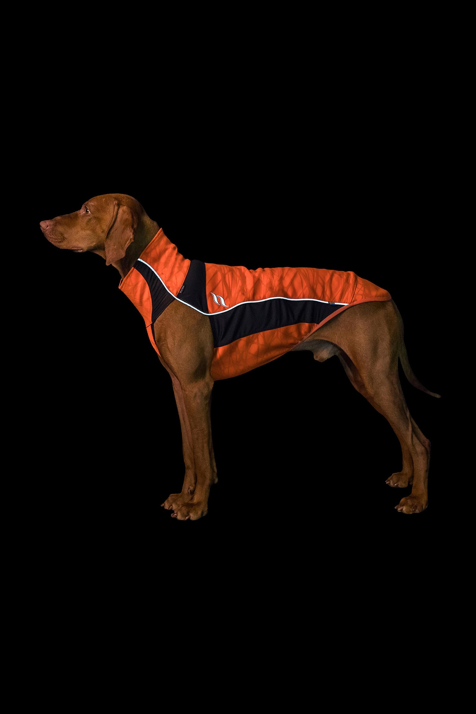 undefined Back on Track Eddie High-Visibility Jumper, 40-45cm Dog Accesories