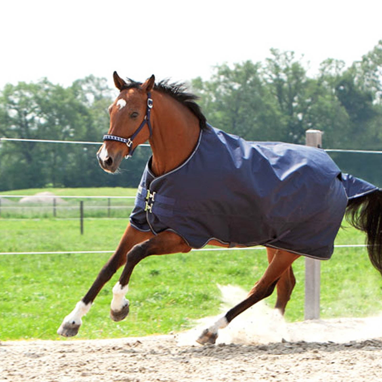 Kavalkade Montreal Regendeken, 100 gram Paardendekens
