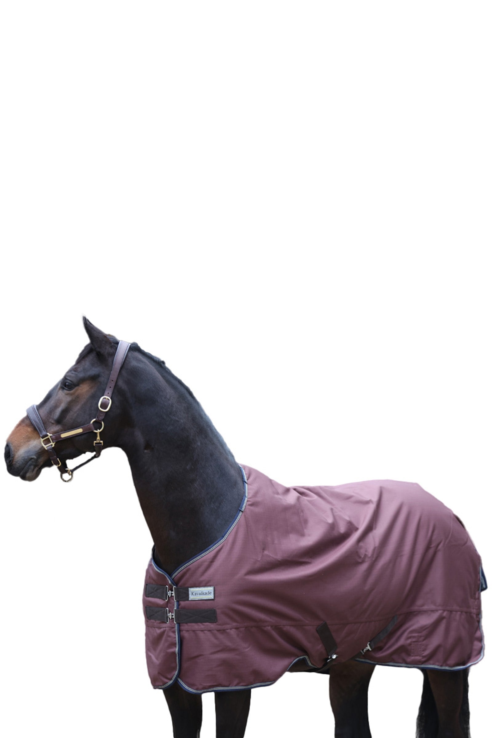 Kavalkade Montreal Regendeken, 200 gram Paardendekens