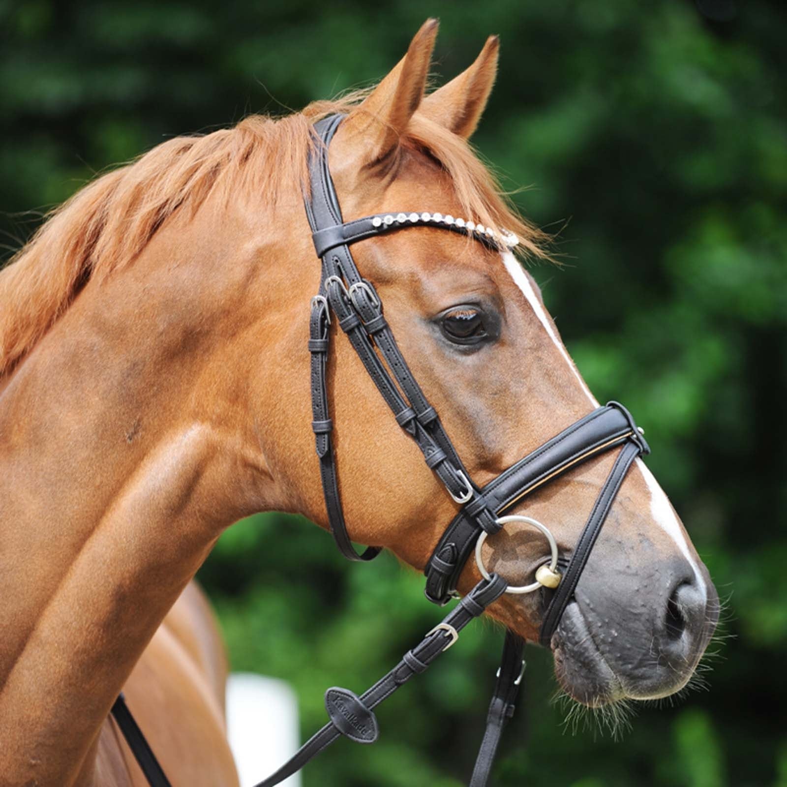 Kavalkade Cortica Vegan Cork Reins Hoofdstellen & Teugels