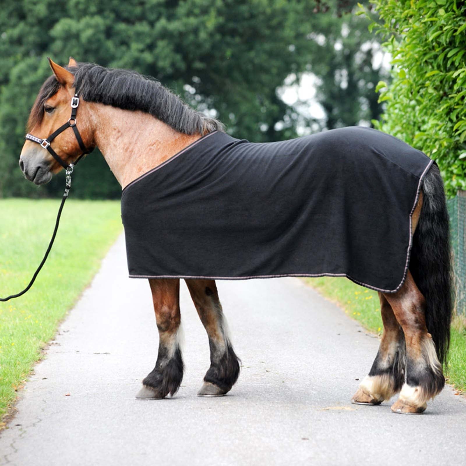 Kavalkade Ecoline Werkpaard Zweetdeken Paardendekens