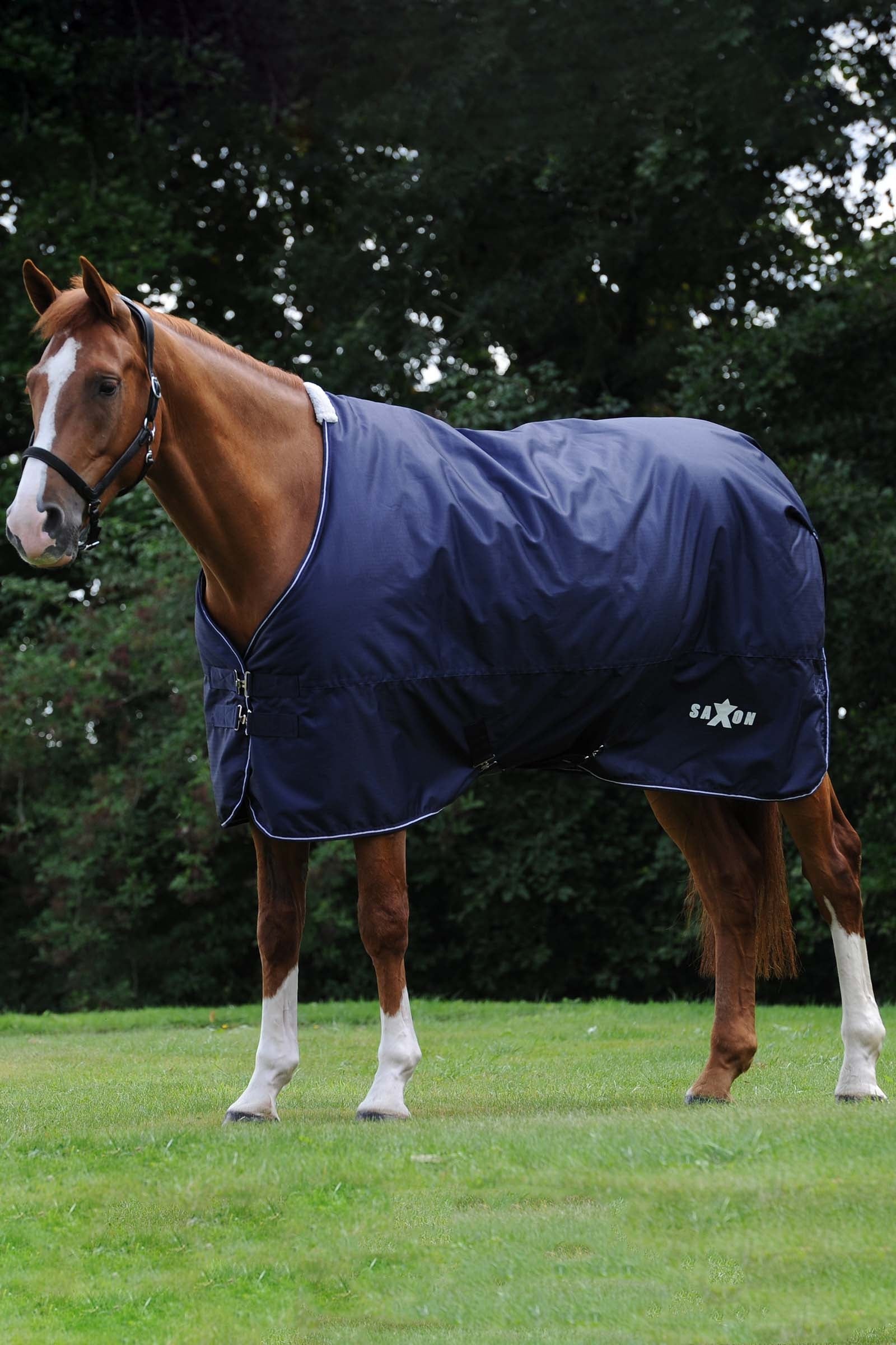 Saxon Defiant 600D Turnout Rug, 0g Paardendekens