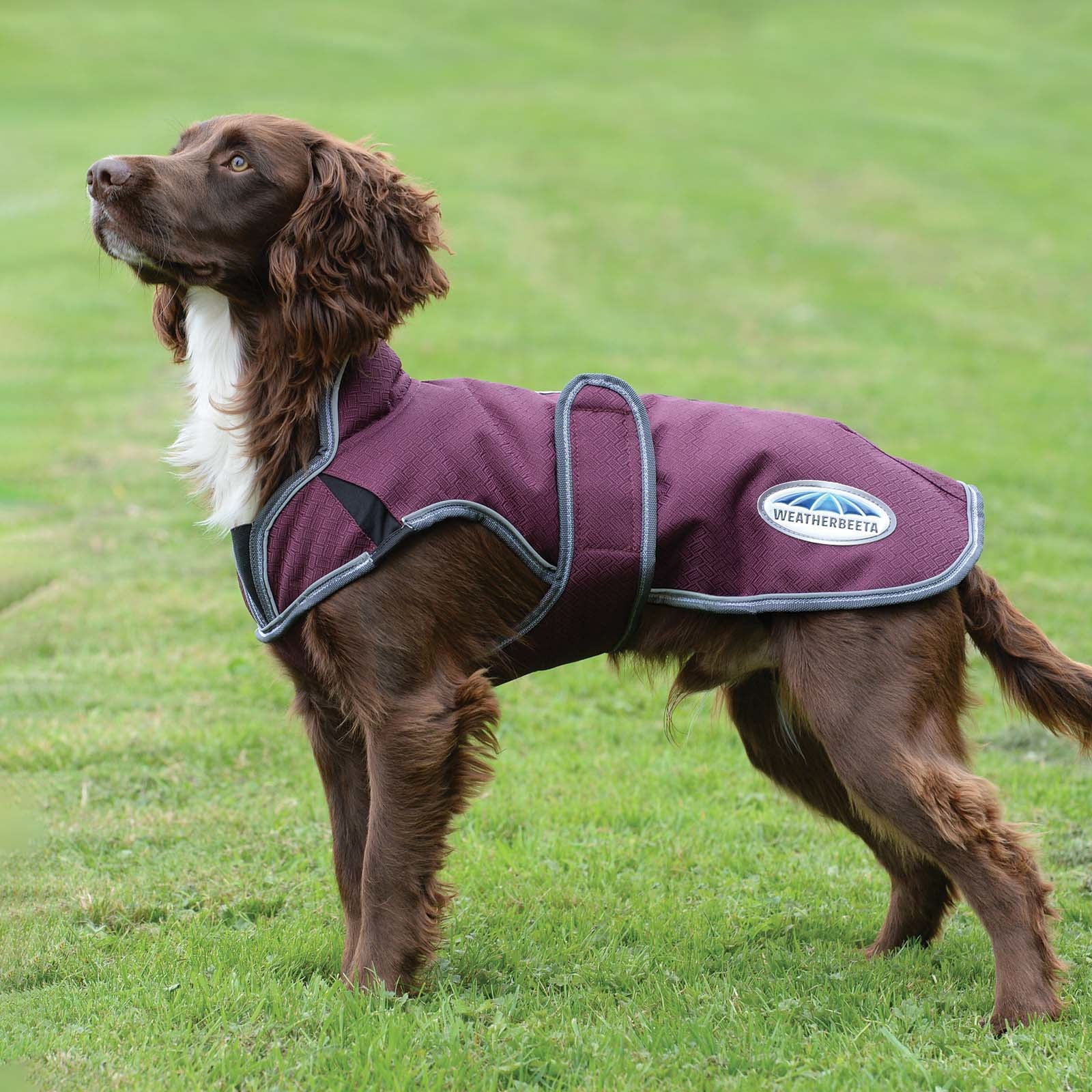 Weatherbeeta Comfitec Premier Free Parka Deluxe Dog Coat, 220g Hond