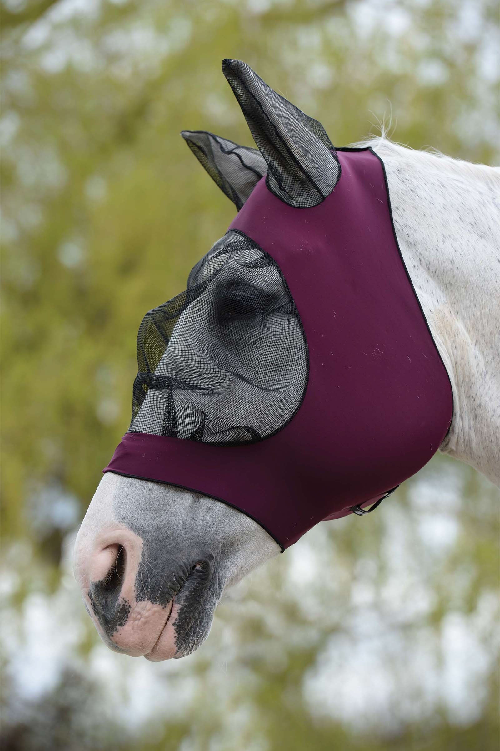 Weatherbeeta Deluxe  Stretch Bug Eye Saver with Ears Antifly Protection for Horses