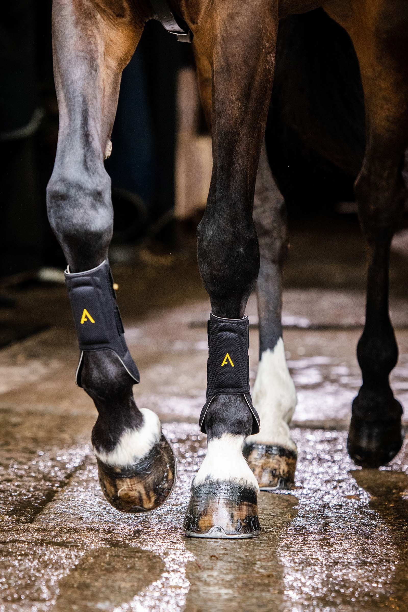 Horseware Adagio Boot Leg Protection & Hoof Protection for Horses