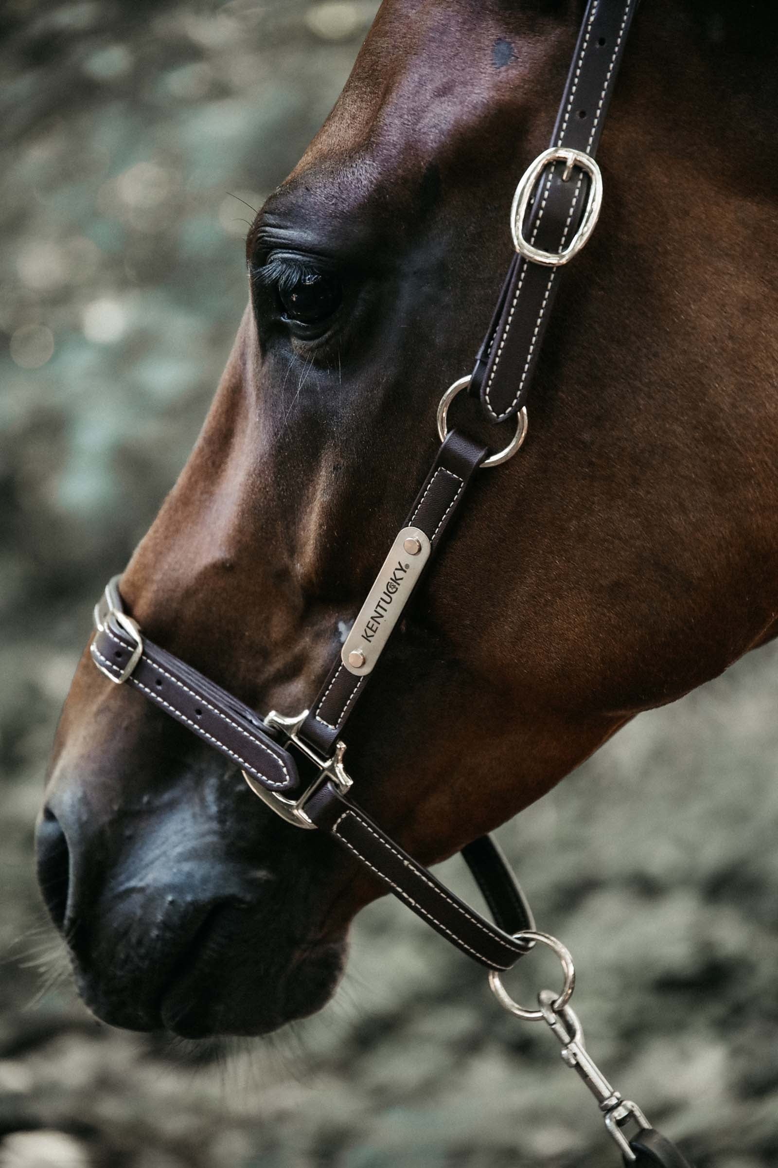 Kentucky Horsewear Flexible Leather Halter Neck Piece Halters & Leads