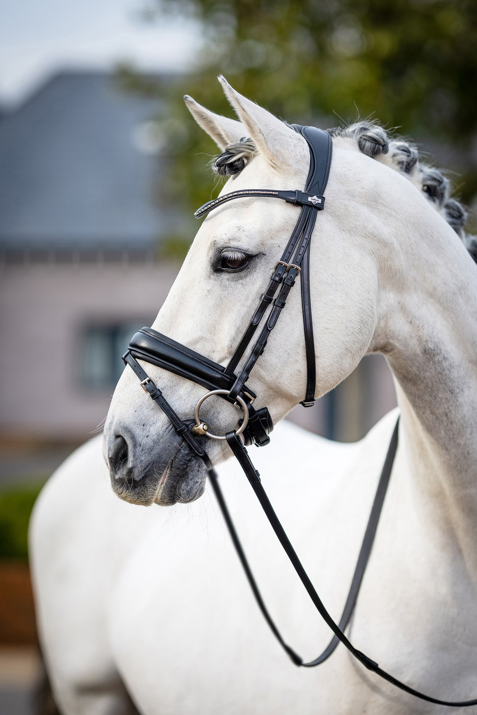 LeMieux Classic hoofdstel, dressuur Hoofdstellen & Teugels