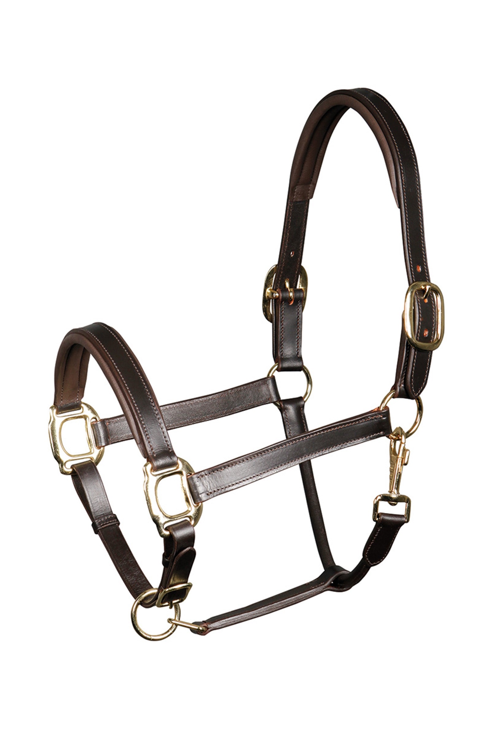 Harry's Horse Halster leder Padded Halsters & Halstertouwen