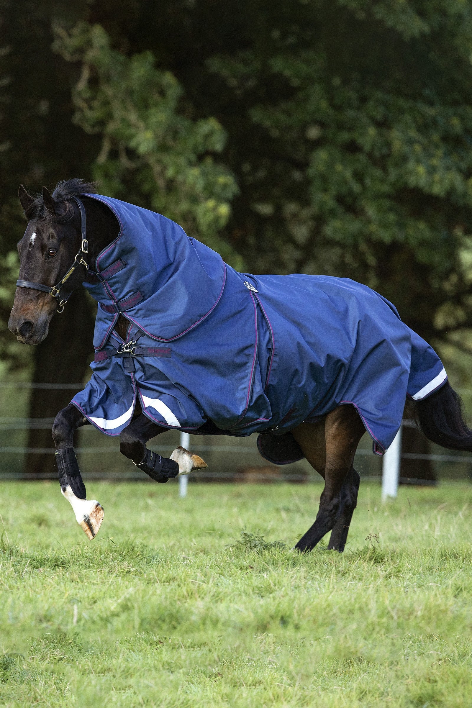 Horseware Rambo Optimo Turnout Plus, 0g Horse Rugs