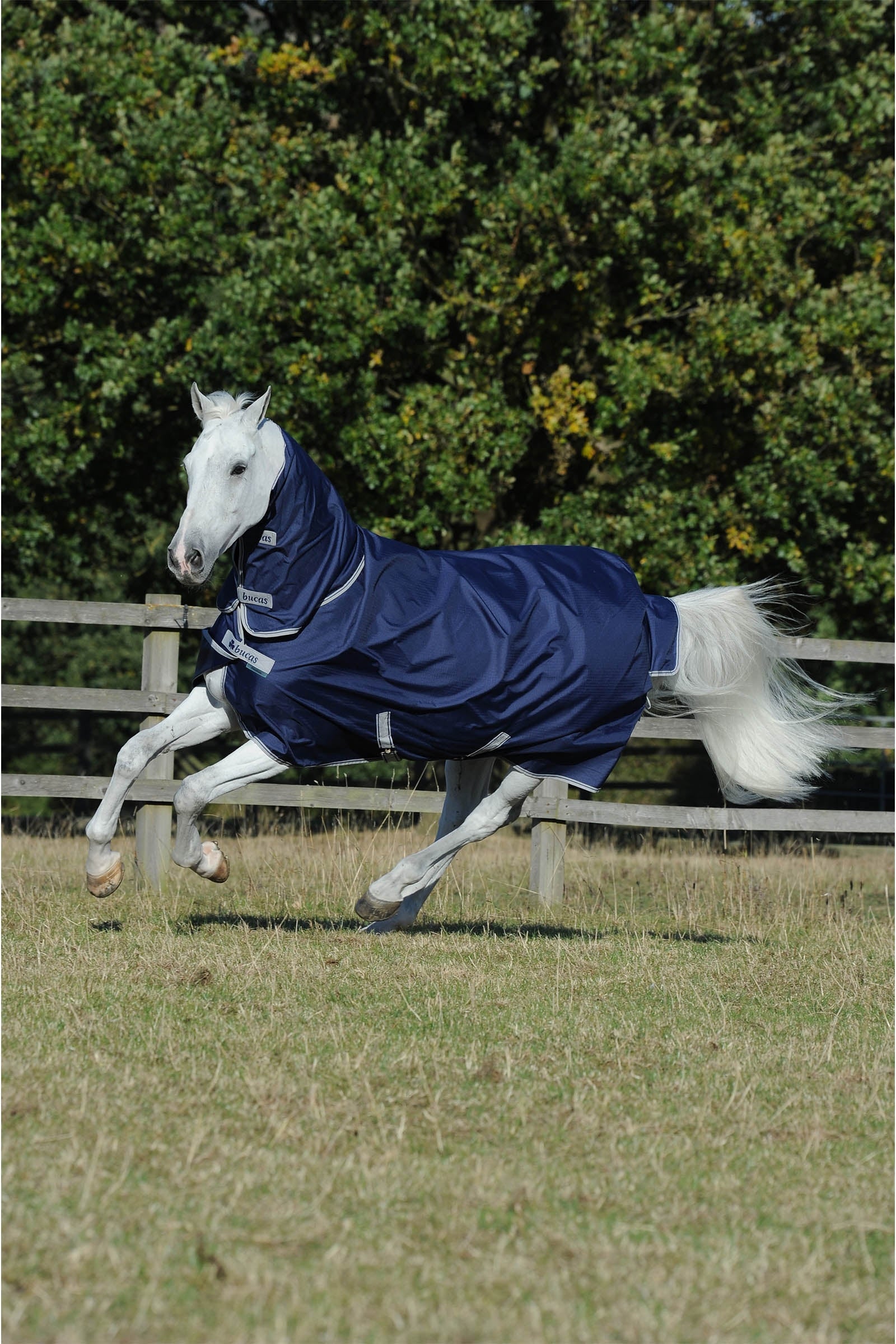 Bucas Freedom + Neck 100 g Rug Set Horse Rugs