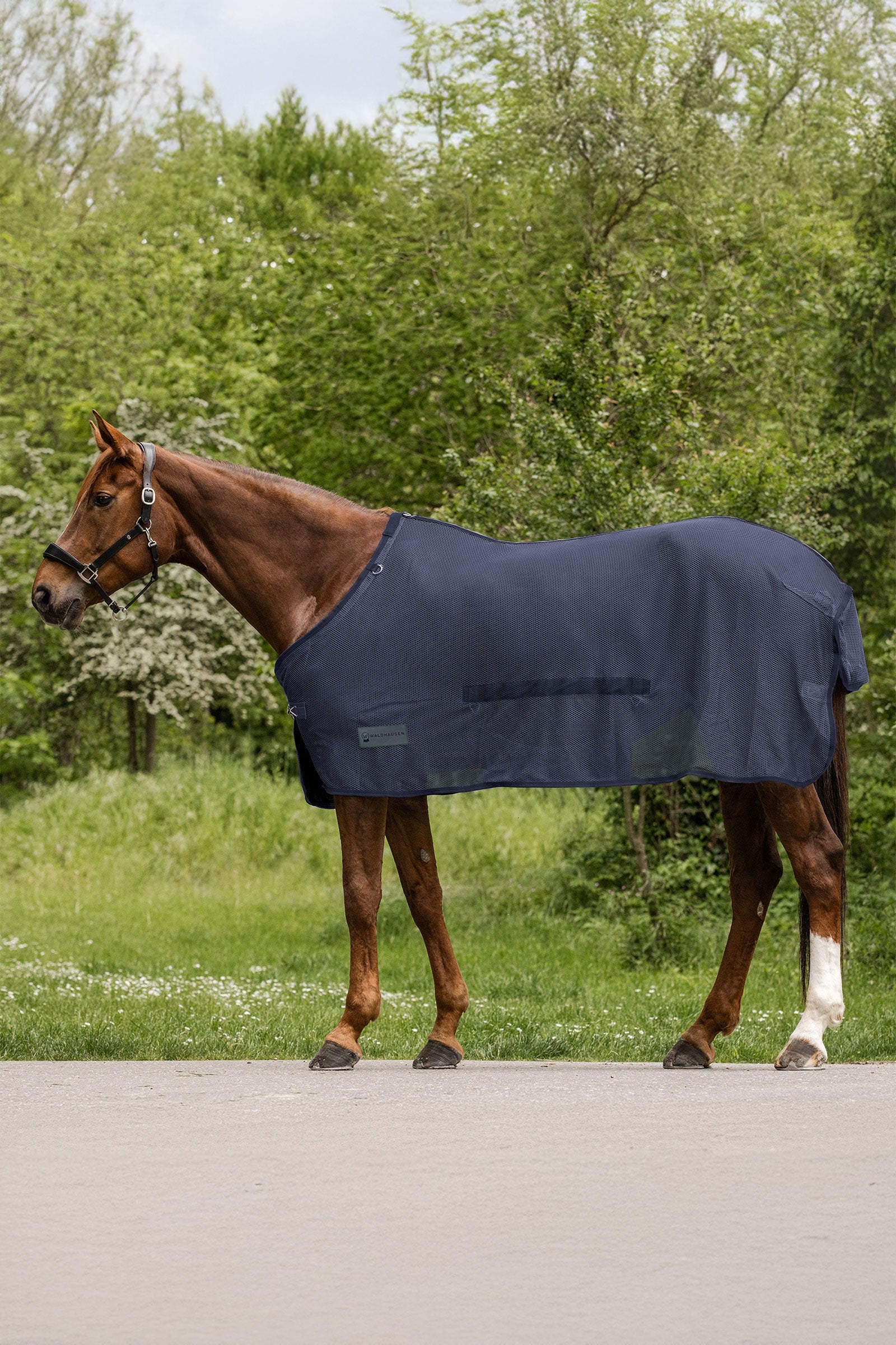 Waldhausen Comfort Fly Rug With Belly Flap Horse Rugs