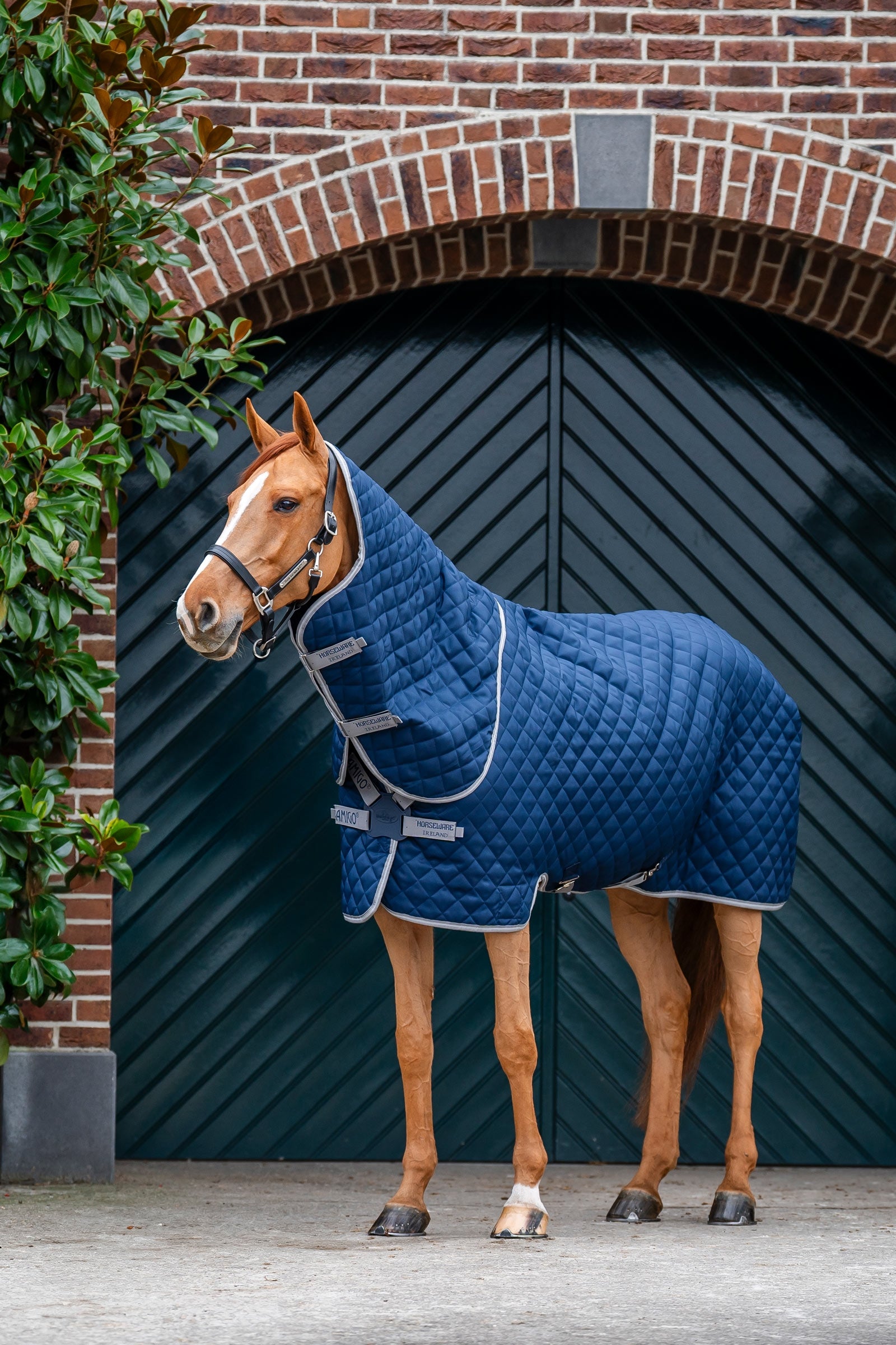 Horseware Amigo gewatteerde staldeken Plus, 200 g Paardendekens