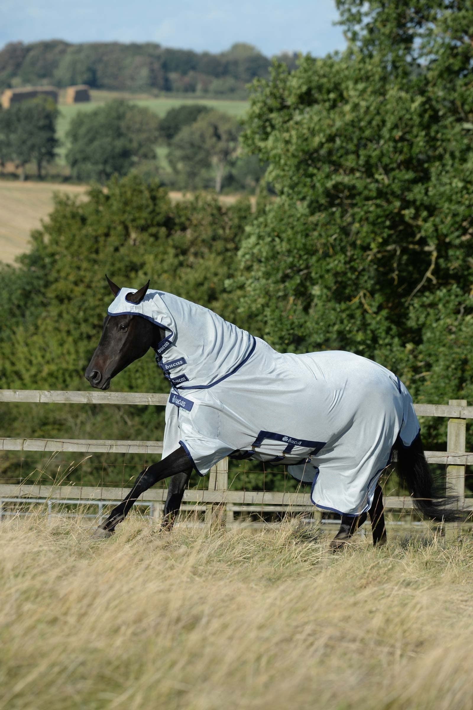 Bucas Buzz-Off X Big Neck Fly Rug With Fixed Neck Horse Rugs