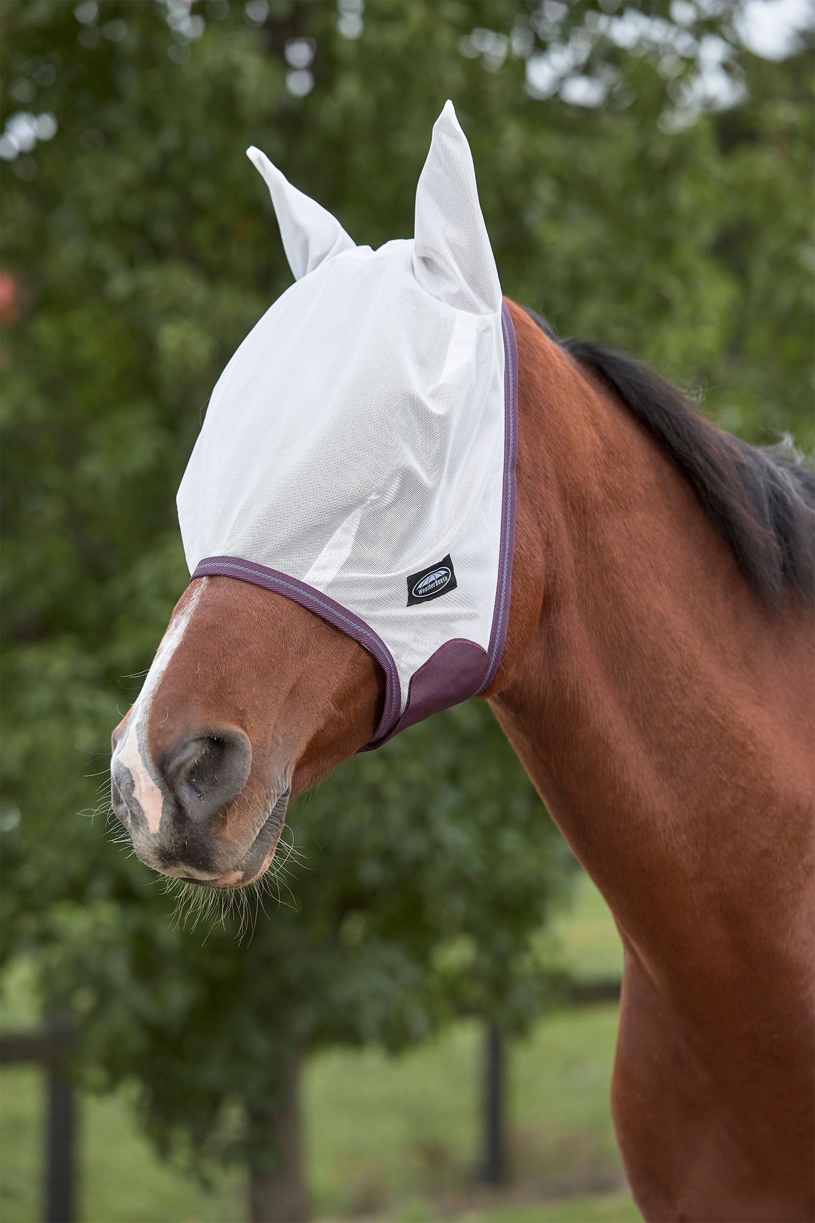 Weatherbeeta Comfitec Essential meshmasker Vliegenbescherming