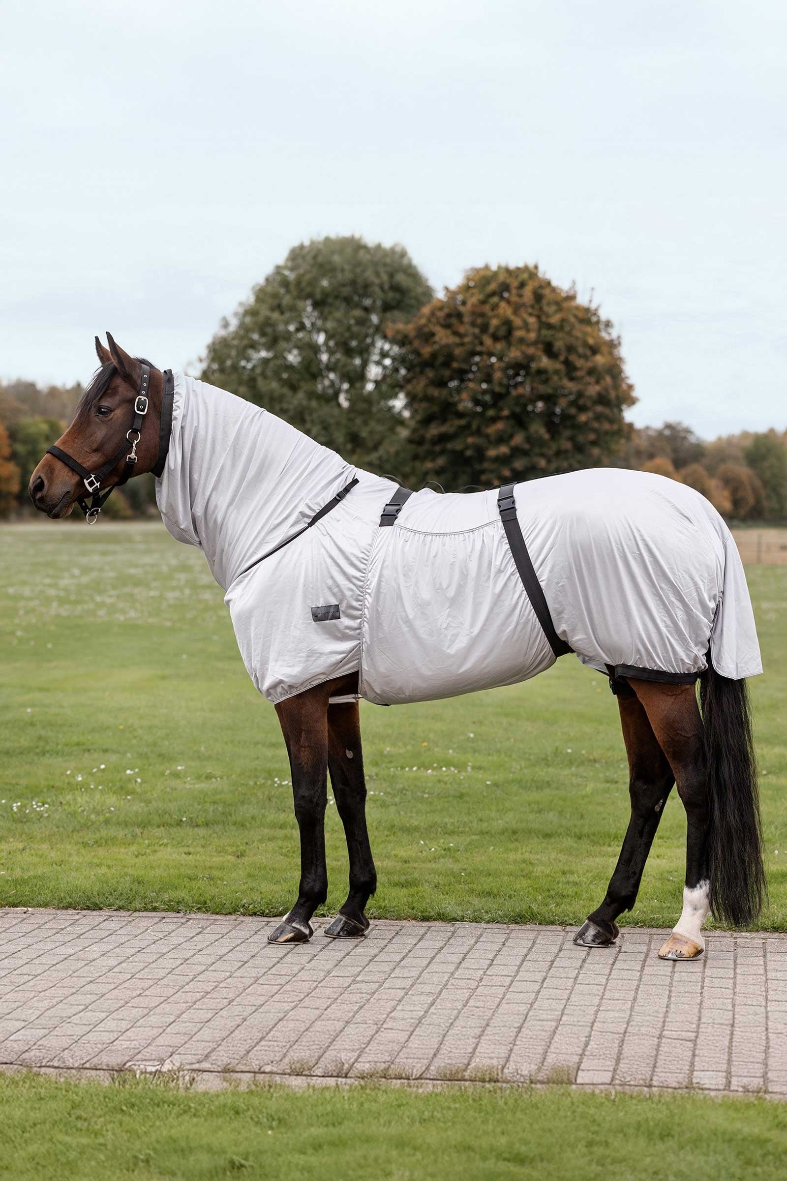 Waldhausen eczeemdeken Paardendekens