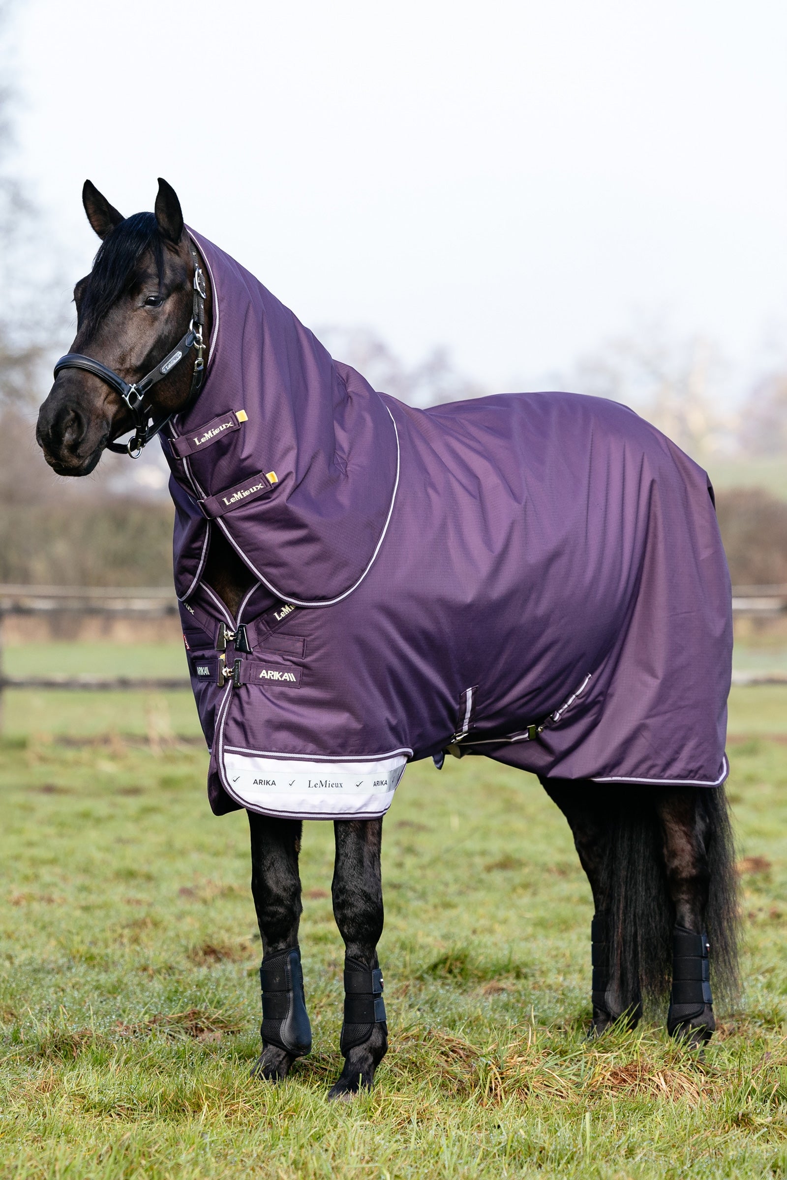 LeMieux Arika Ripstop Turnout Rug With Detachable Neck, 200 g Paardendekens