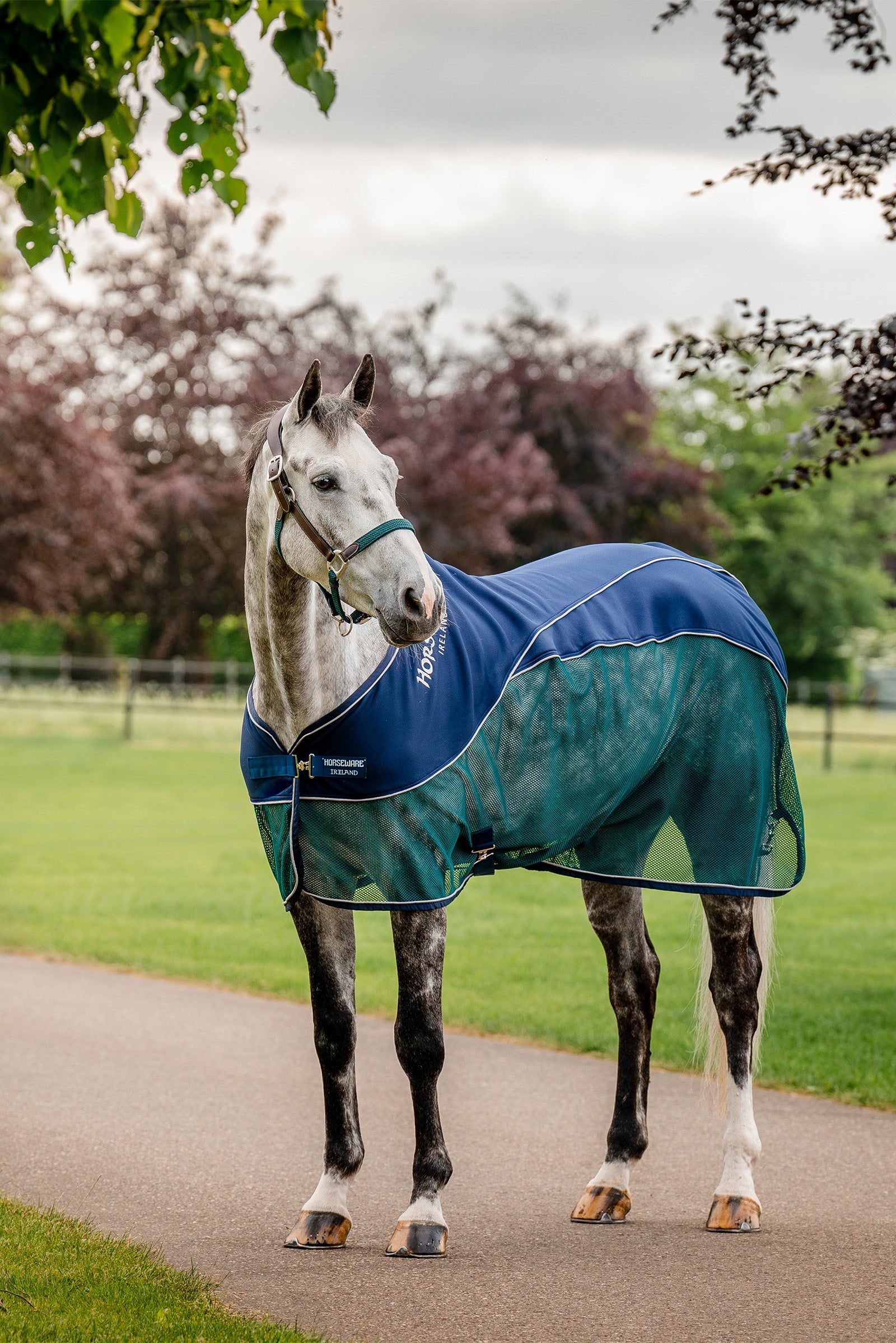 Horseware Signature Sport Zweetdeken Paardendekens