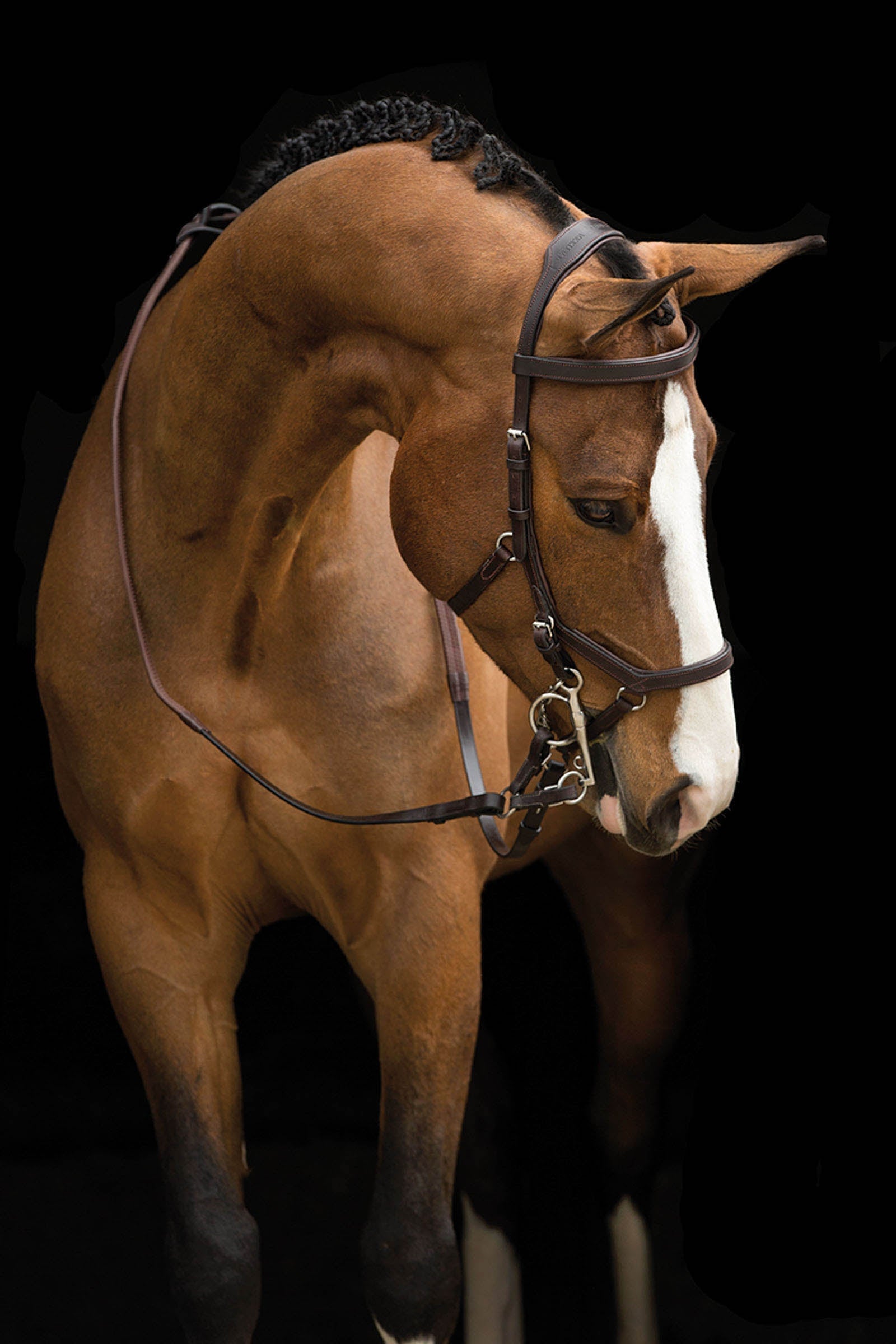 Horseware Rambo Micklem Wedstrijd Hoofdstel Hoofdstellen & Teugels