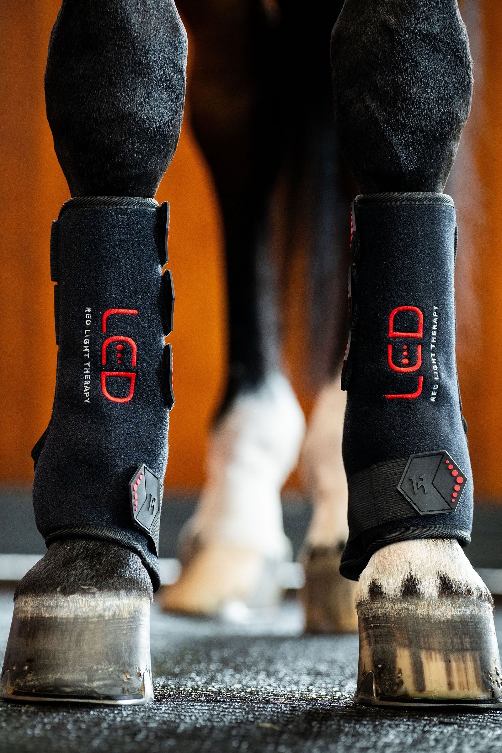 Horseware LED roodlichttherapie beenbeschermer (1 st.) Leg Protection & Hoof Protection for Horses