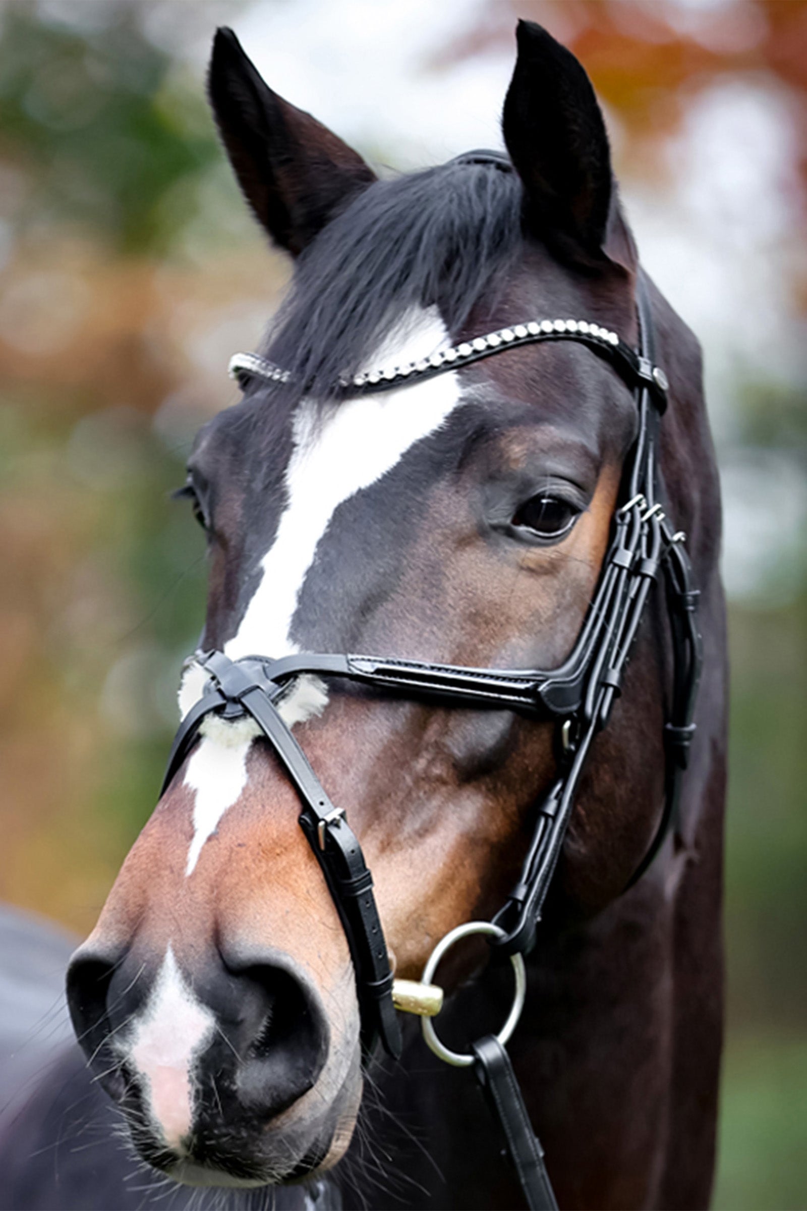 Kavalkade Lucia Mexican Bridle Hoofdstellen & Teugels