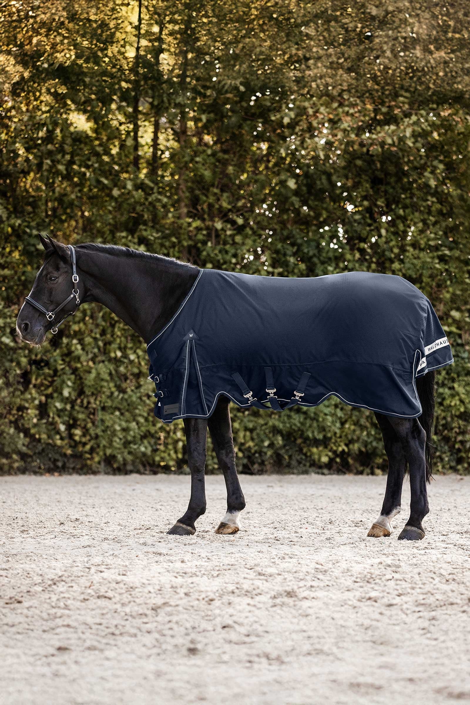 Waldhausen Scandic Outdoordeken, 200 g Paardendekens