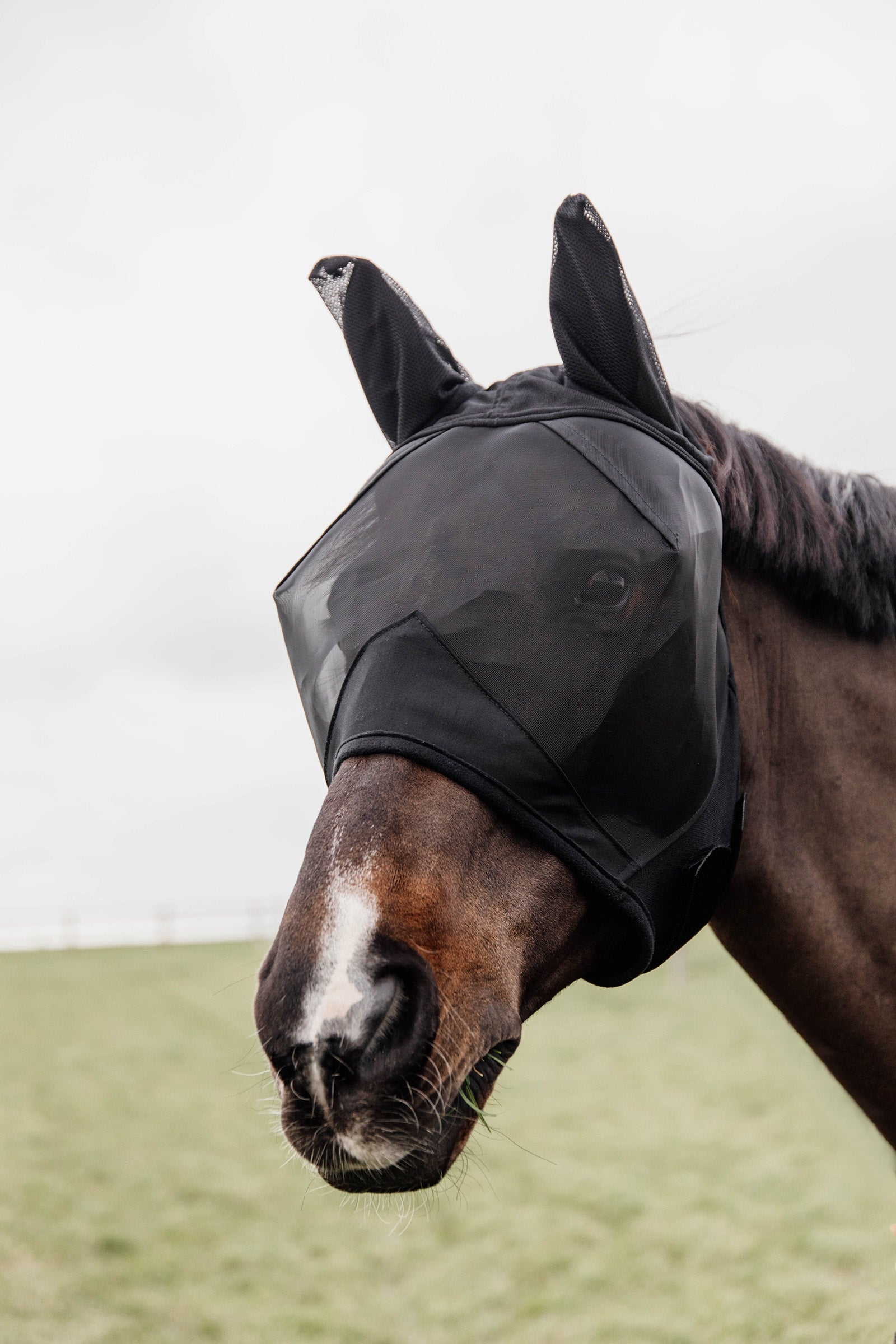 Kentucky Horsewear Classic vliegenmakser met oren Vliegenbescherming
