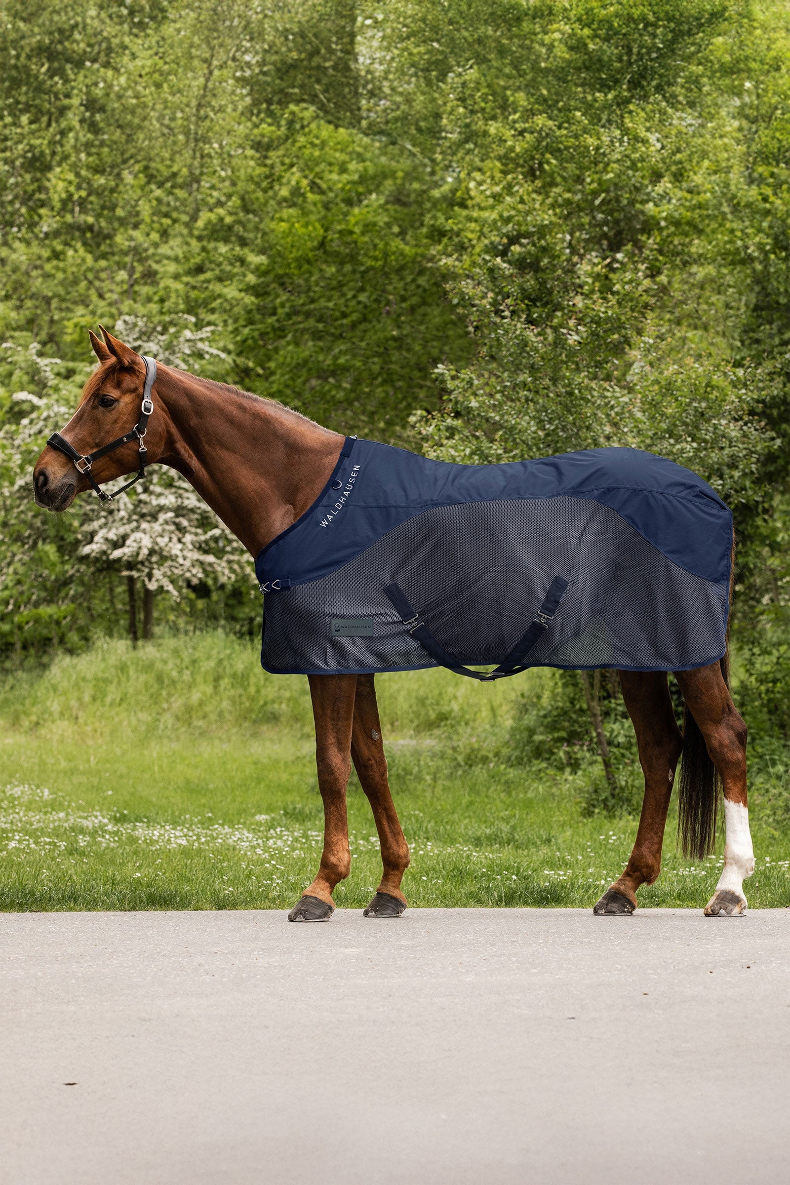 Waldhausen Comfort regen- en vliegendeken Paardendekens