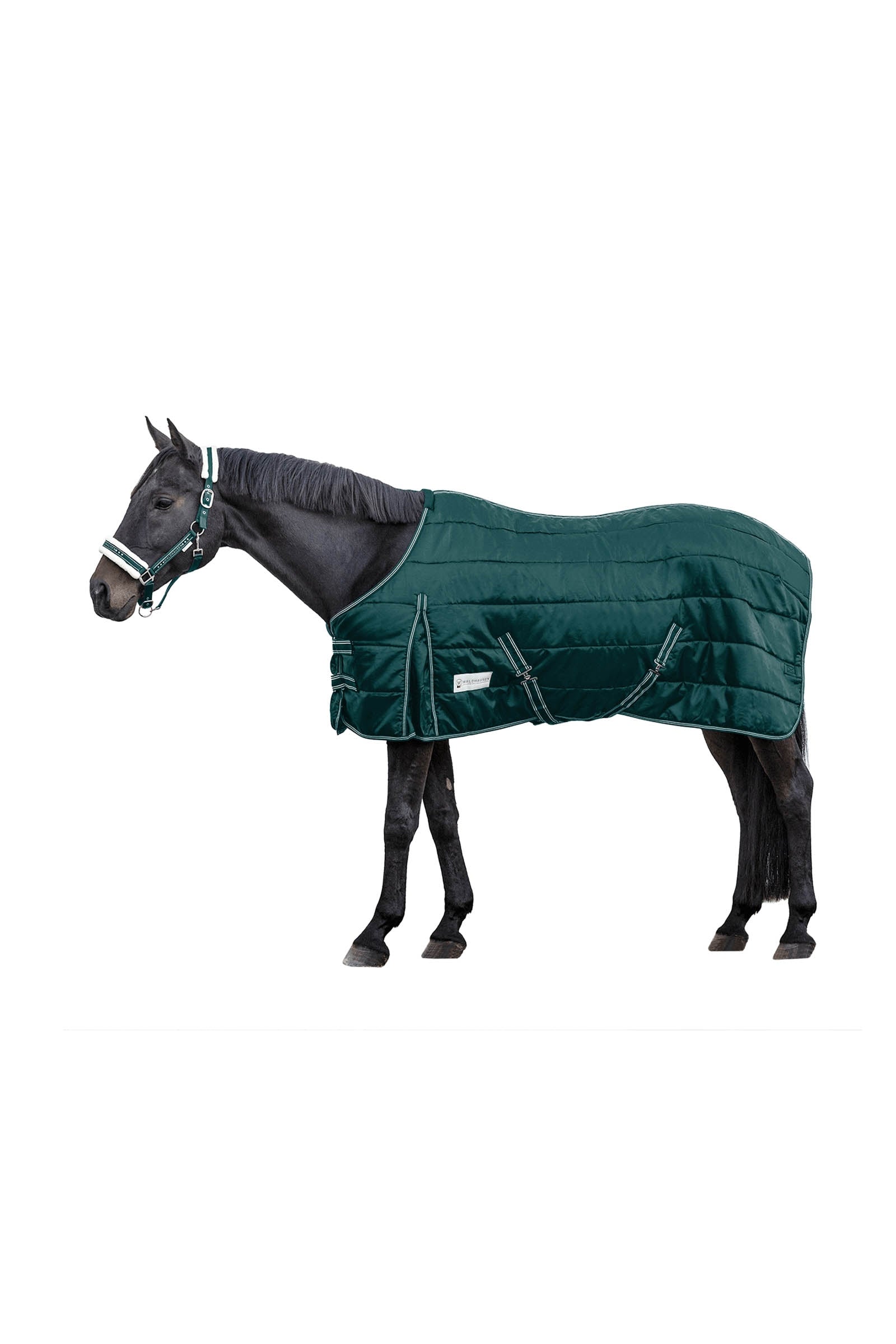Waldhausen Stable rug Economic 200 g Paardendekens