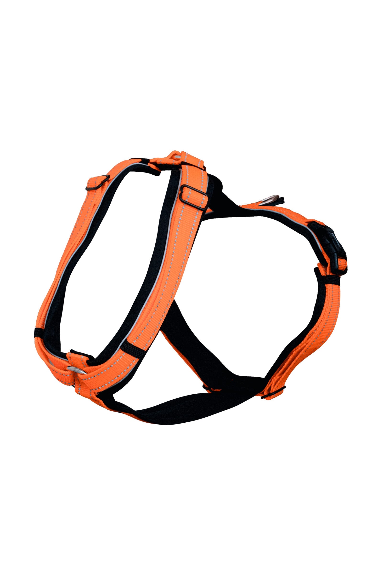 Sprenger Foal Harness Halters & Leads