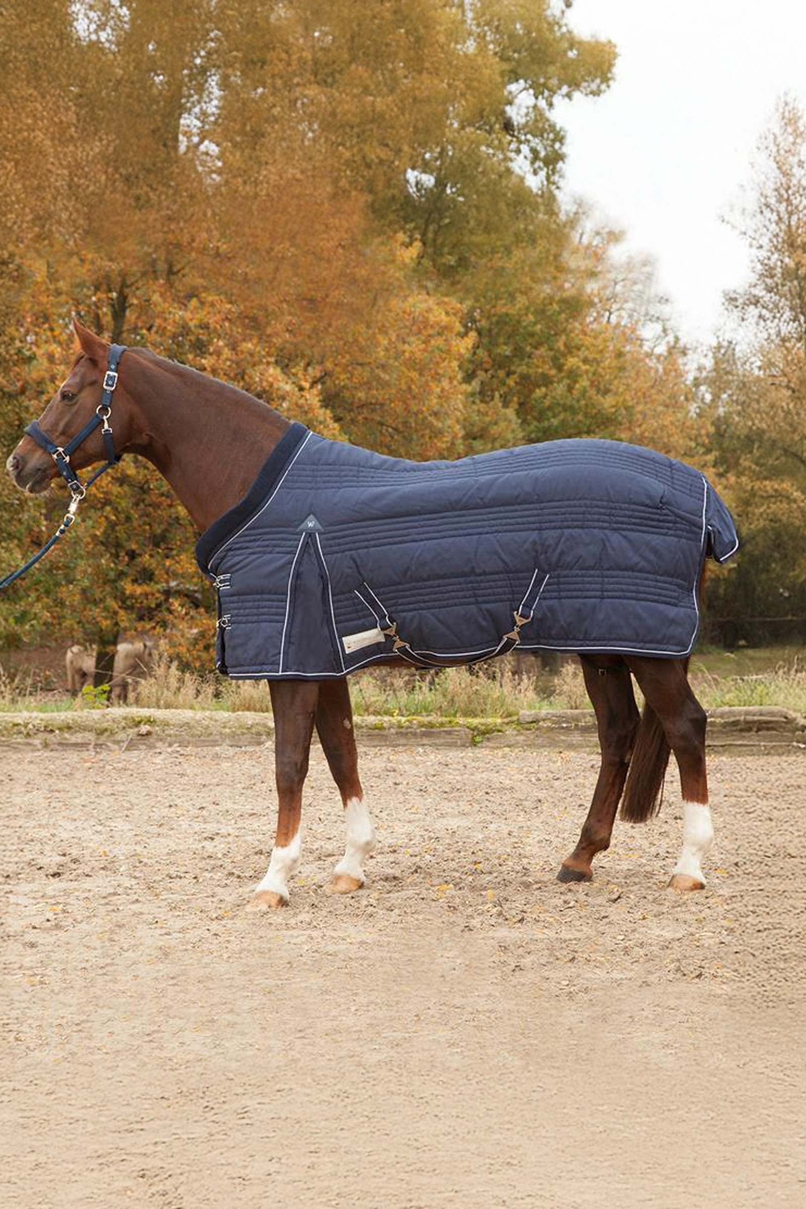 Waldhausen Stable Rug Comfort Line 100g Horse Rugs