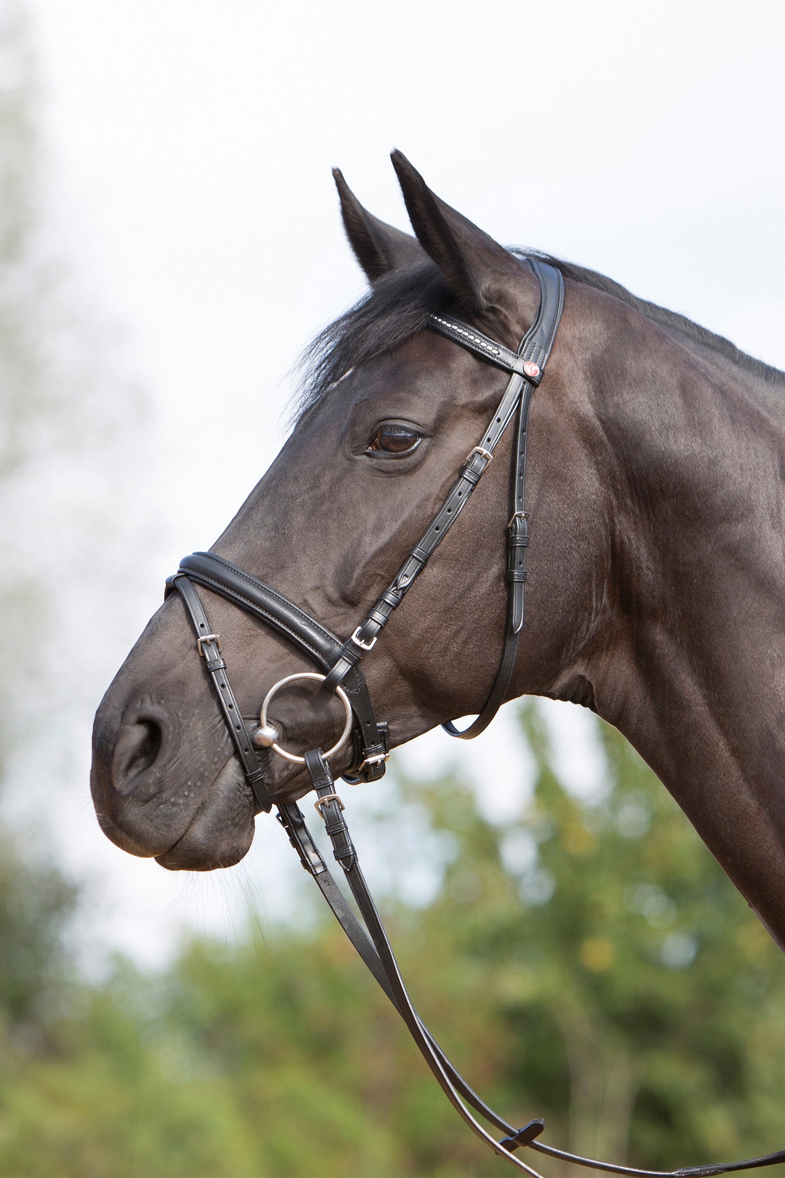 Kieffer Ultrasoft® Hoofdstel Hoofdstellen & Teugels