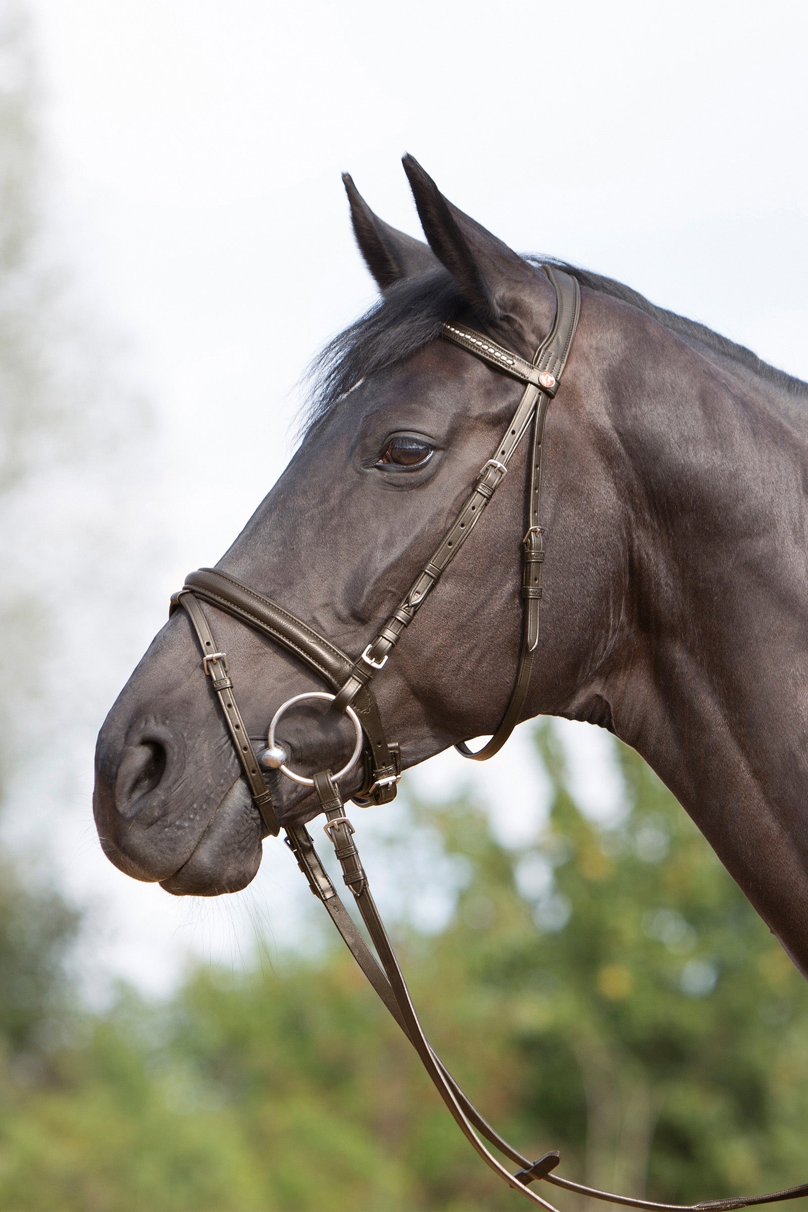 Kieffer Ultrasoft® Hoofdstel Hoofdstellen & Teugels