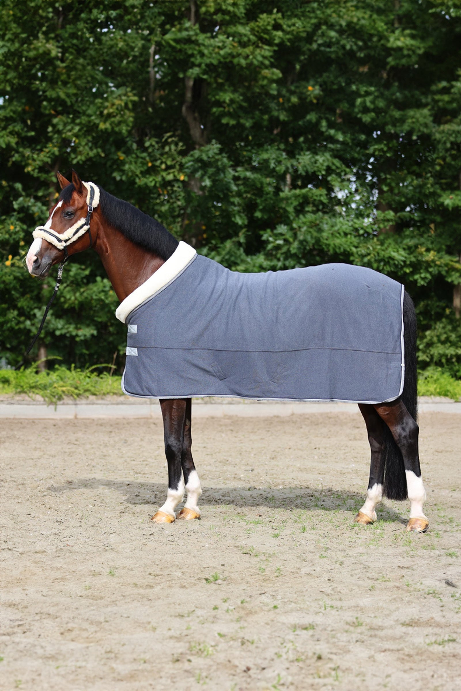 Kavalkade Elegance Reis- en koeldeken Paardendekens