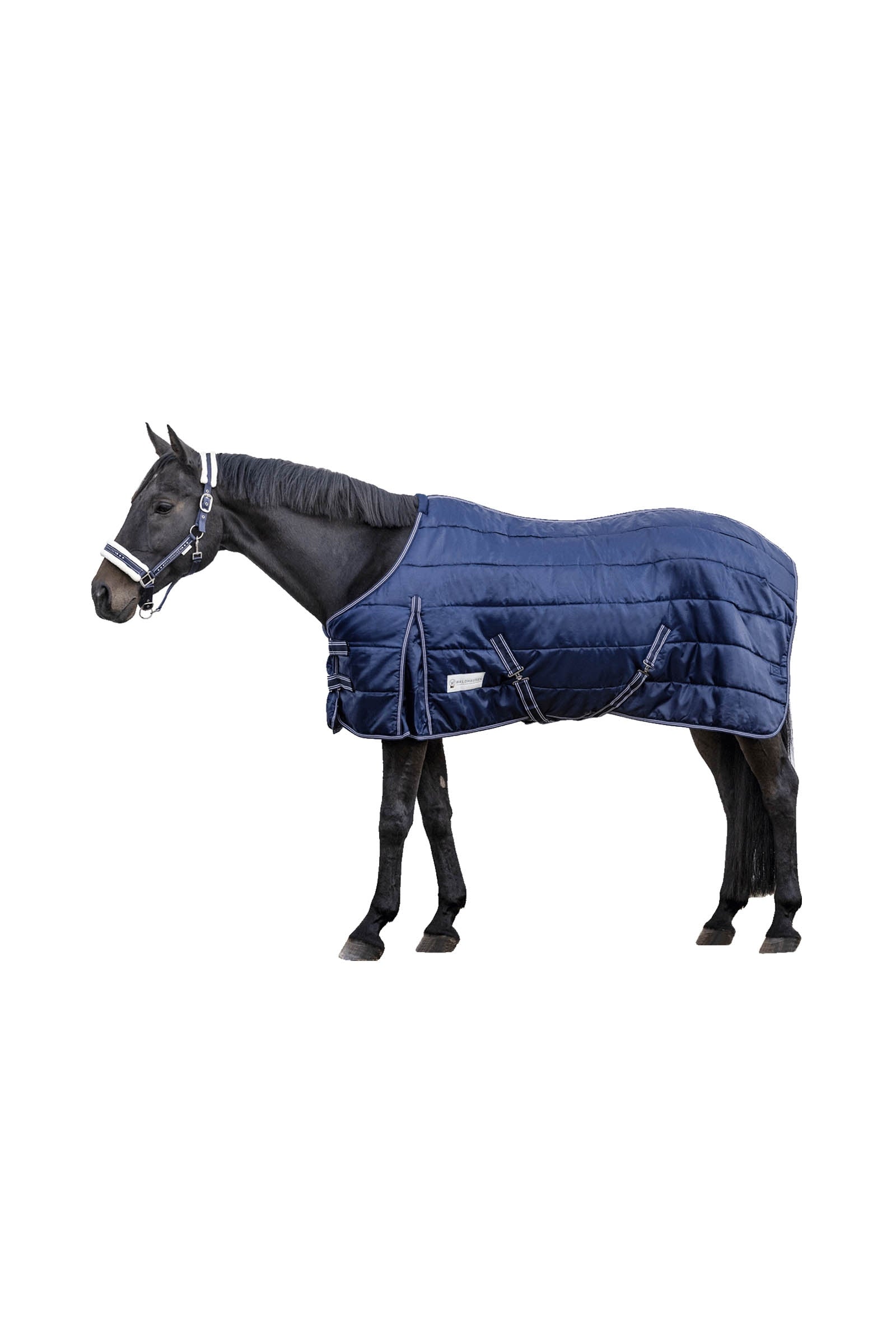 Waldhausen Stable Rug Economic 100 g Paardendekens