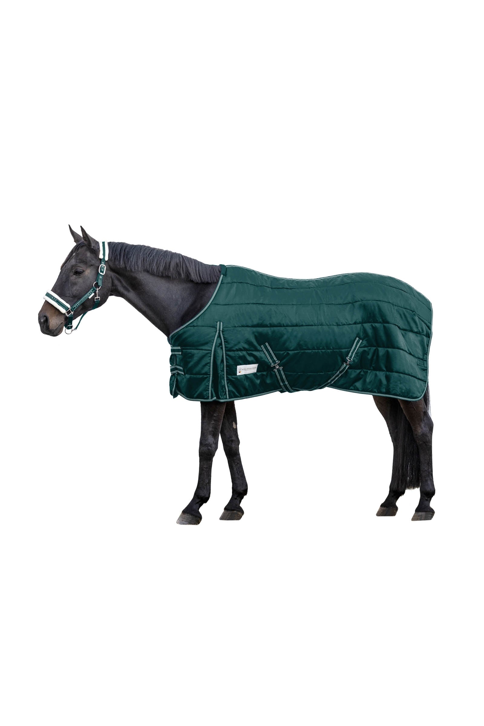 Waldhausen Stable Rug Economic 100 g Paardendekens