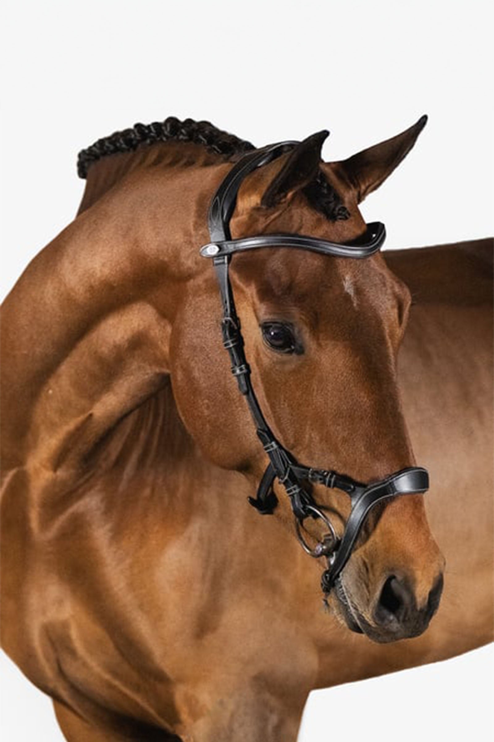 PS of Sweden bridle Nirak Bridles & Reins