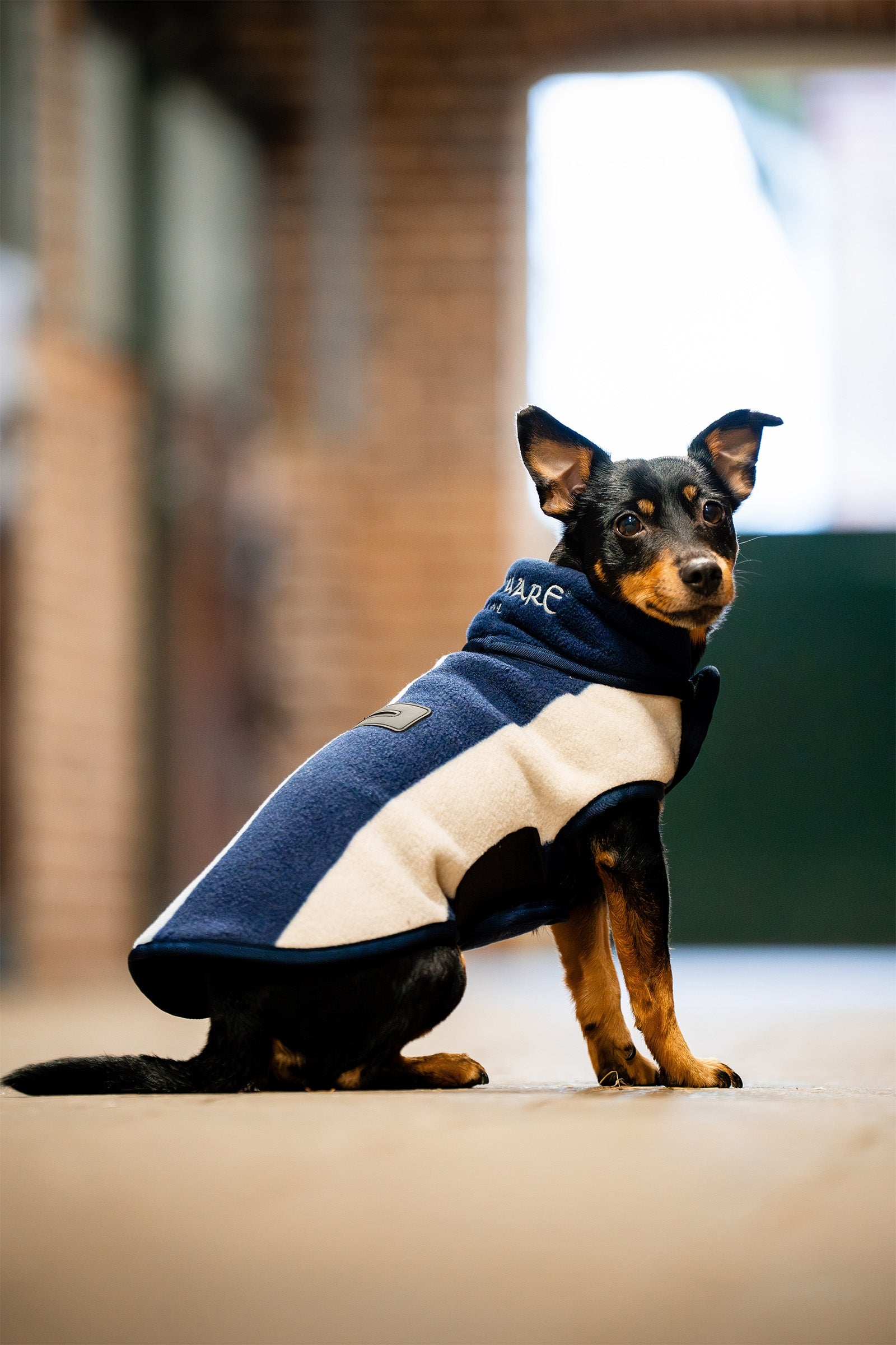 Horseware Signature Hondenfleece Deken Hond