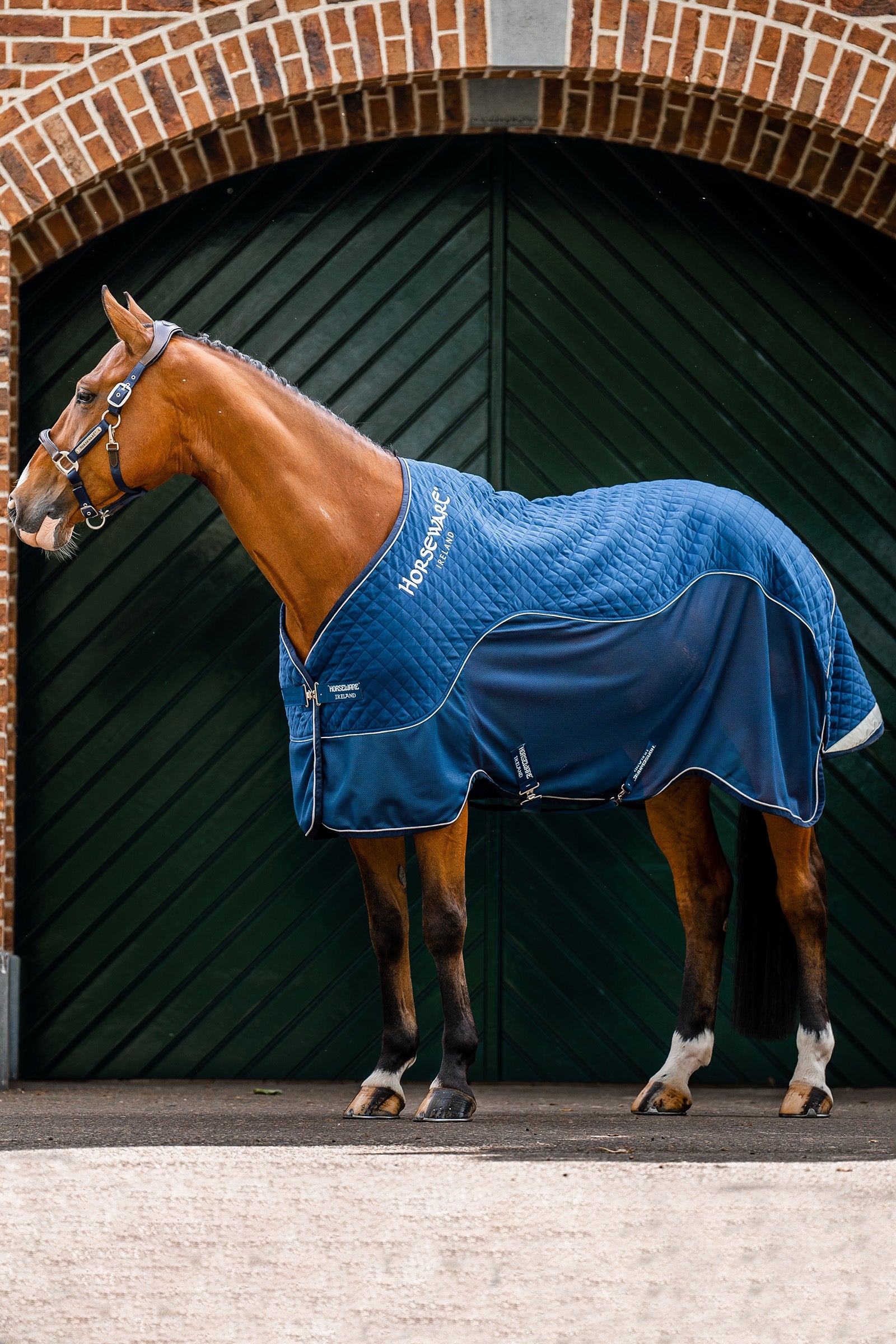 Horseware Signature Transportdeken, 50g Paardendekens