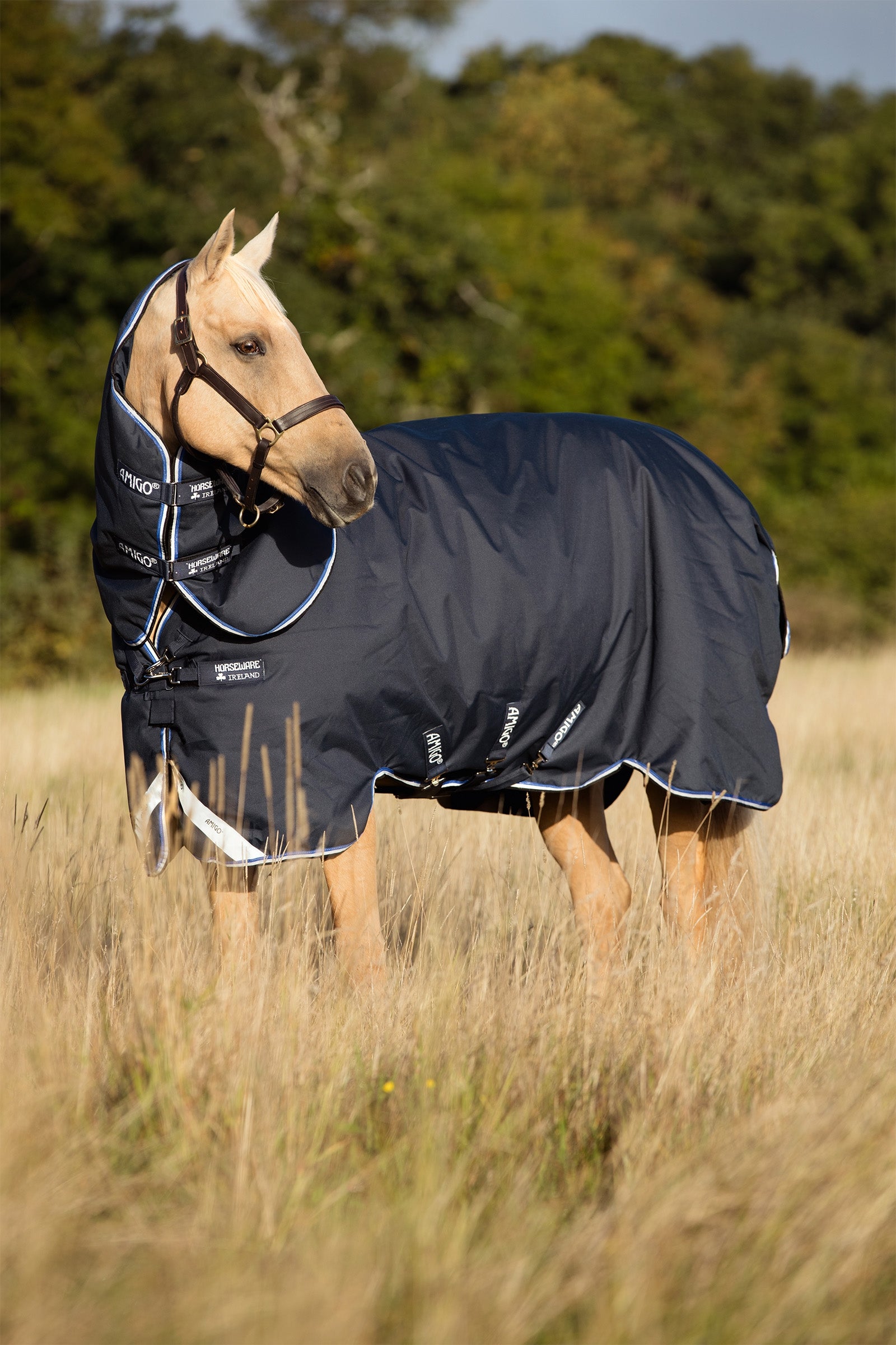 Horseware Amigo Bravo 12 Plus outdoordeken met afneembare hals, 0g Paardendekens