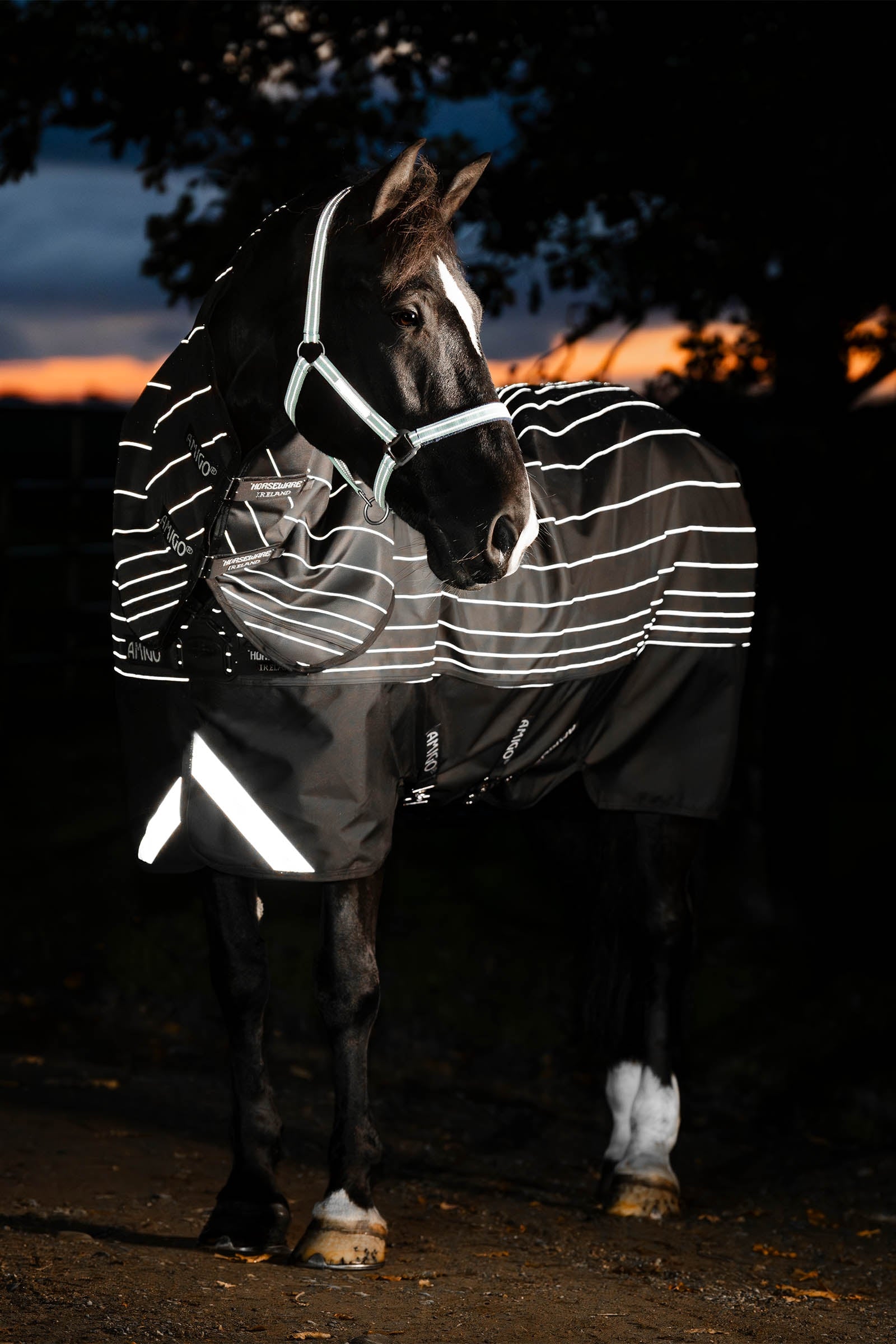 Horseware Amigo 1200D FieldSafe Reflectech Plus regendeken, 100 g Paardendekens