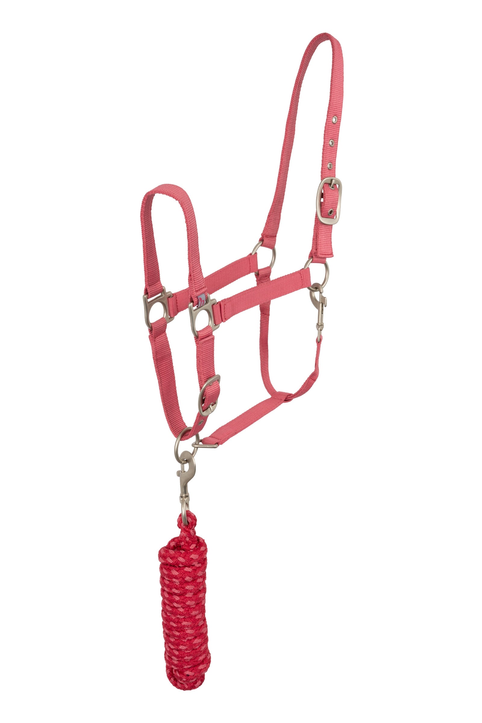 Horze Rose Tonique halster Halsters & Halstertouwen