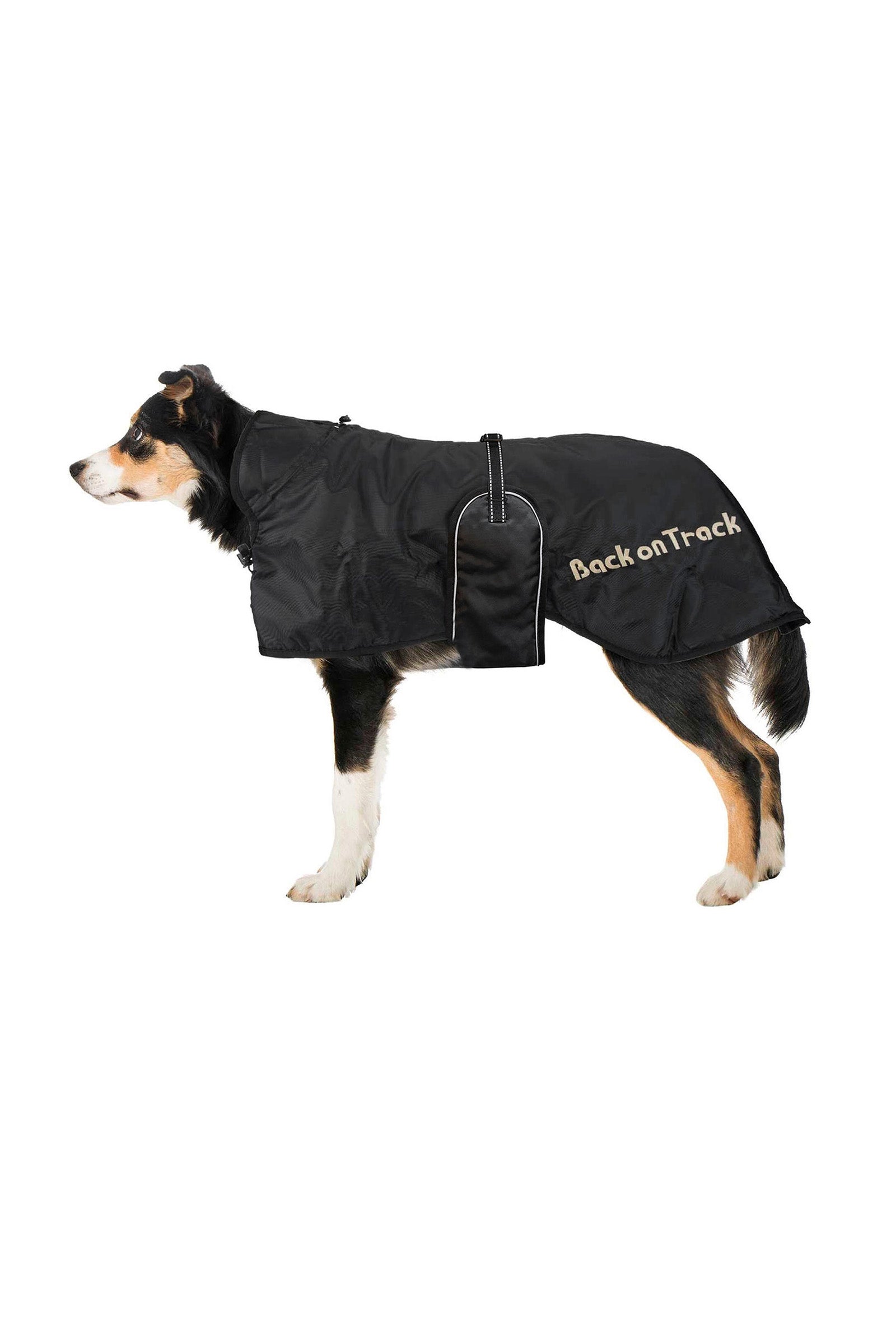 Back on Track Hondendeken (43-59) Hond
