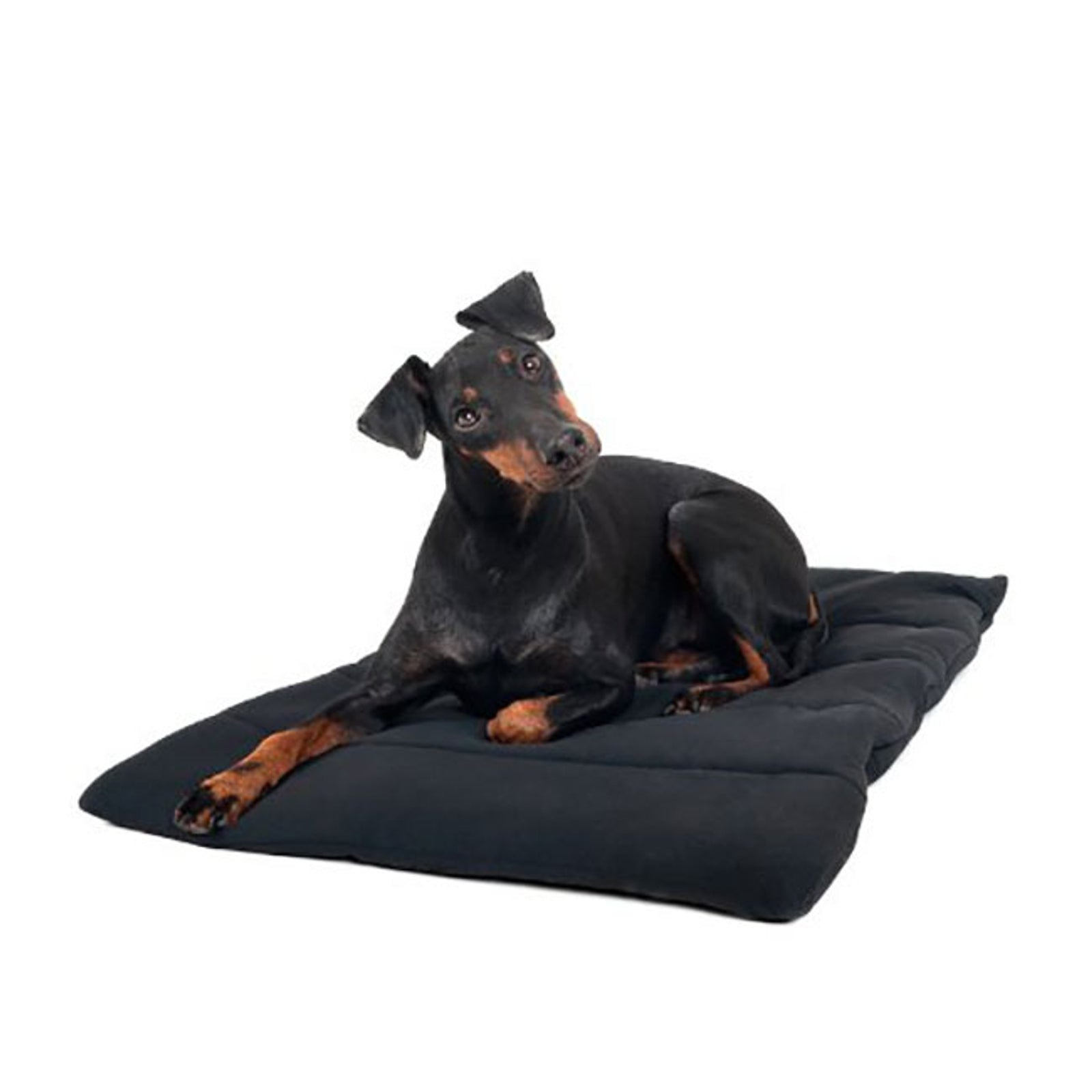 undefined Back on Track Dog Blanket Dog Accesories