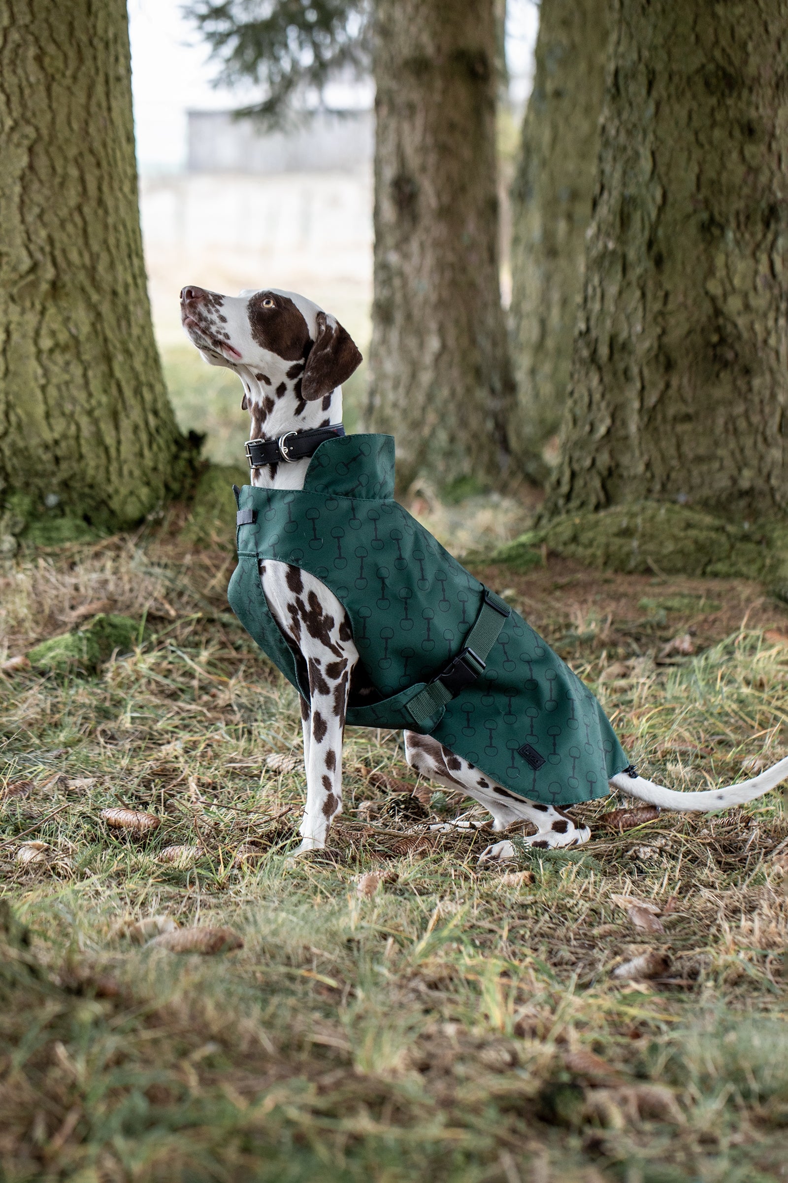 Horze Noir Hondendeken met print Hond